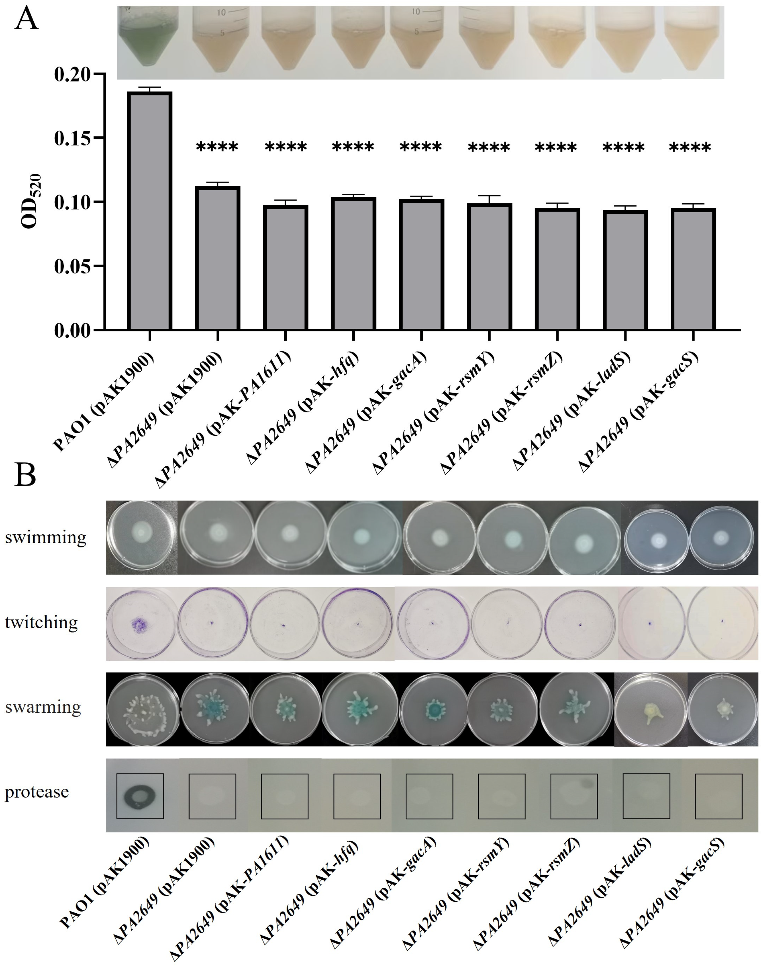 Microorganisms 13 00392 g008