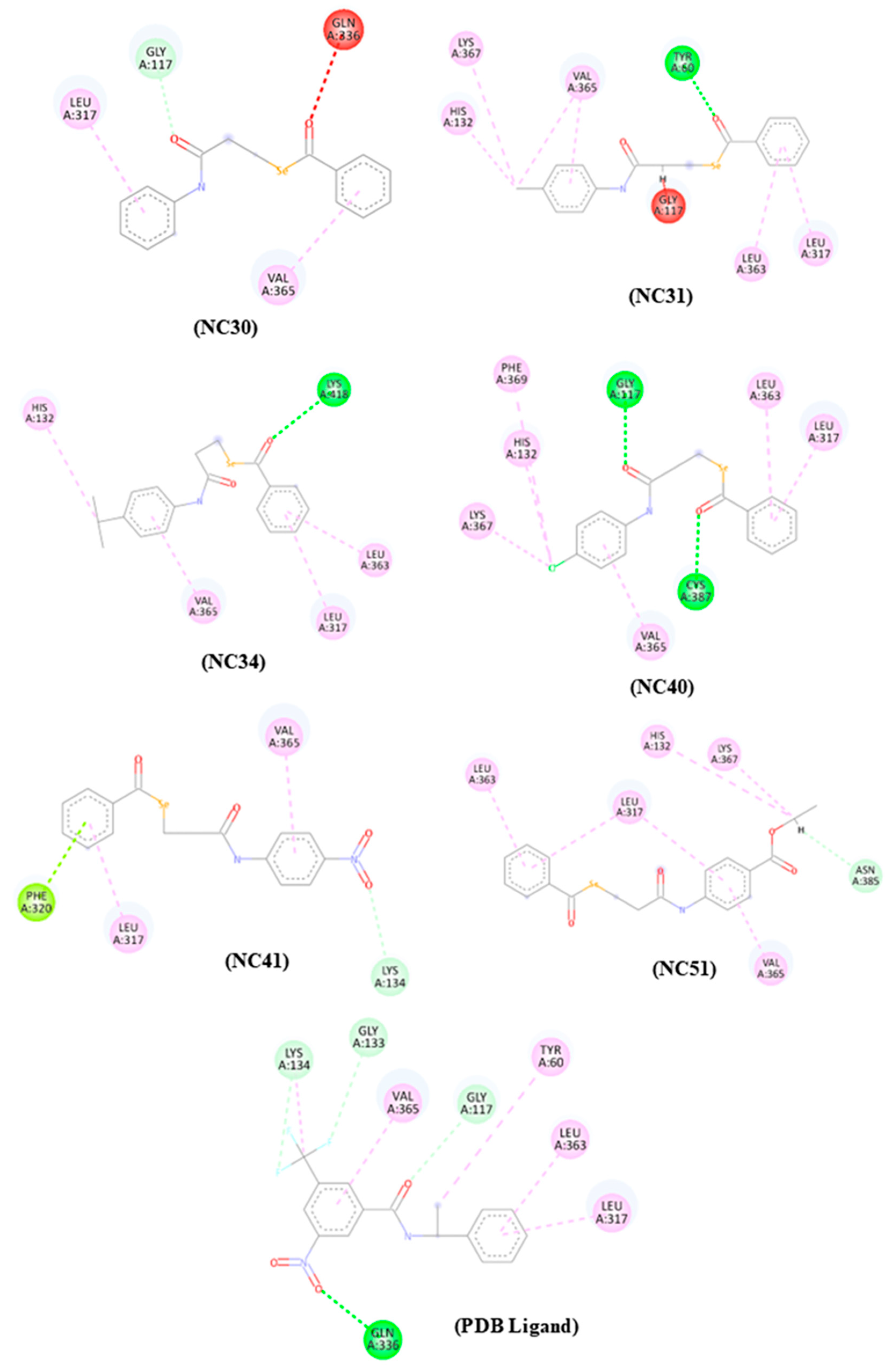 Microorganisms 13 00396 g006
