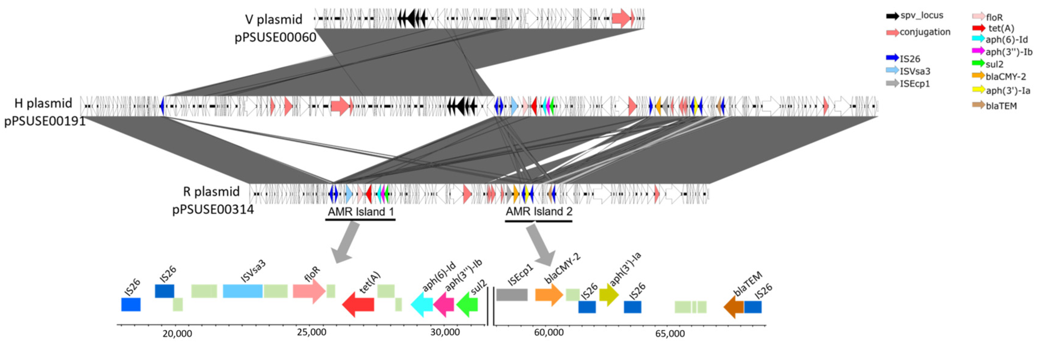 Microorganisms 13 00400 g005