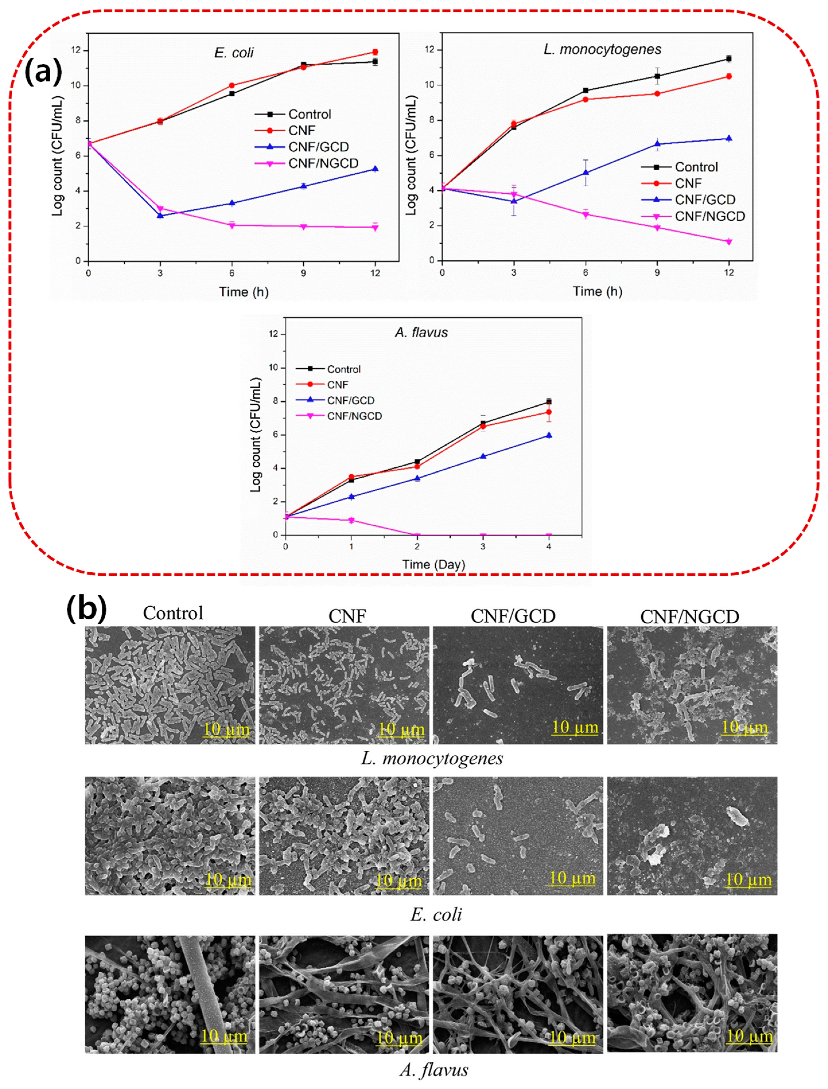 Microorganisms 13 00401 g001