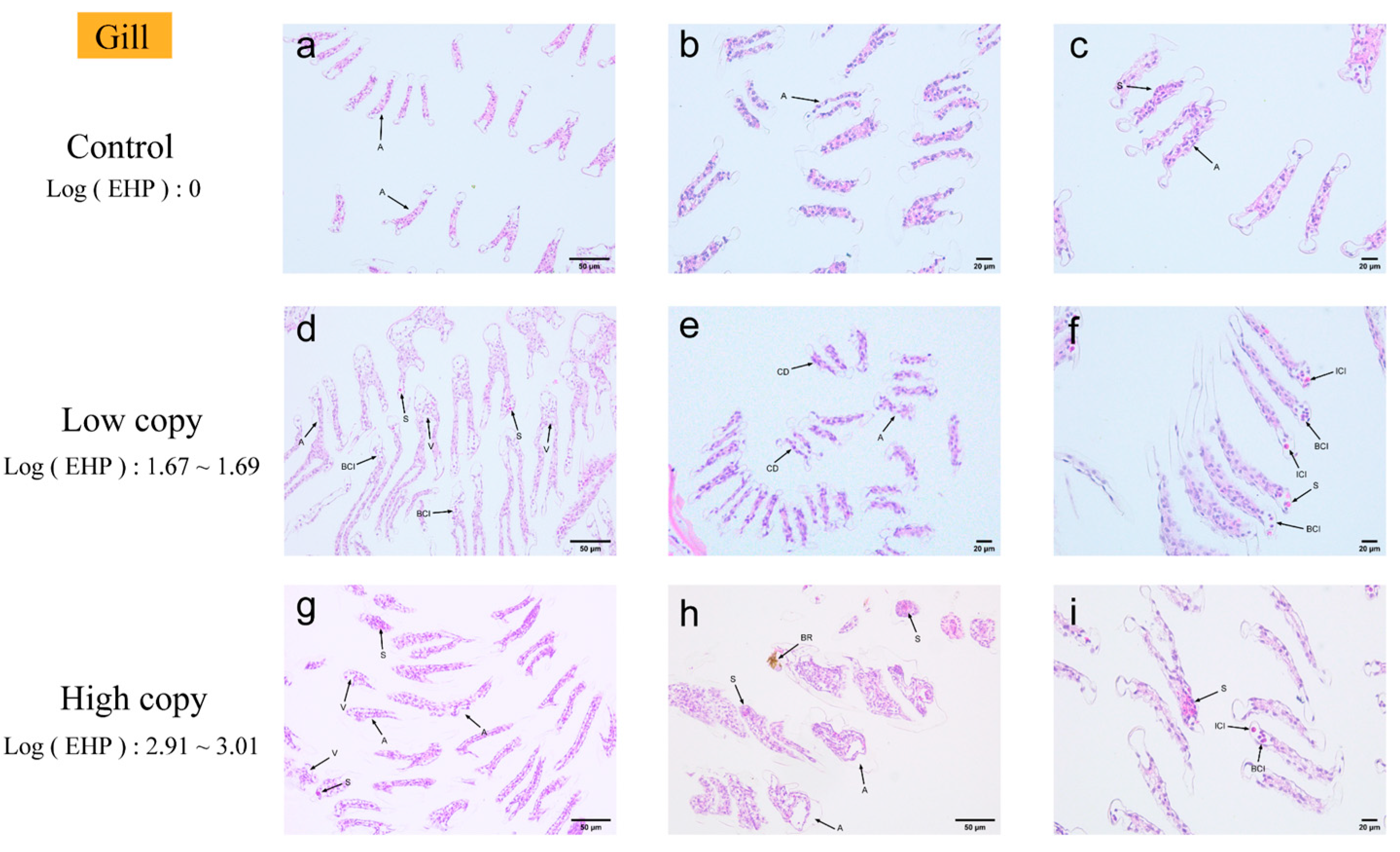 Microorganisms 13 00402 g003