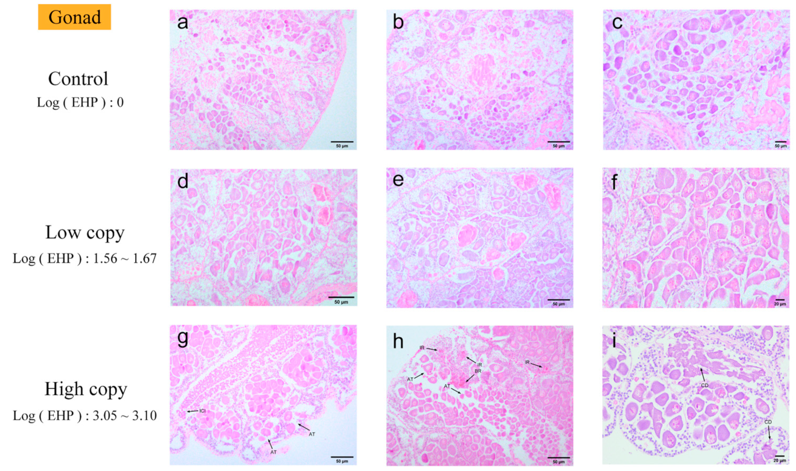 Microorganisms 13 00402 g006