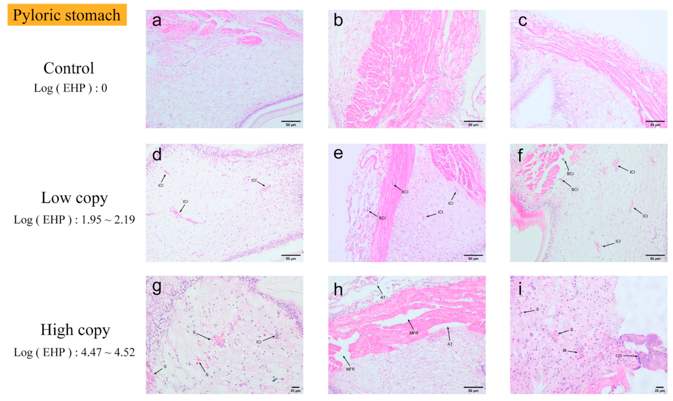 Microorganisms 13 00402 g008