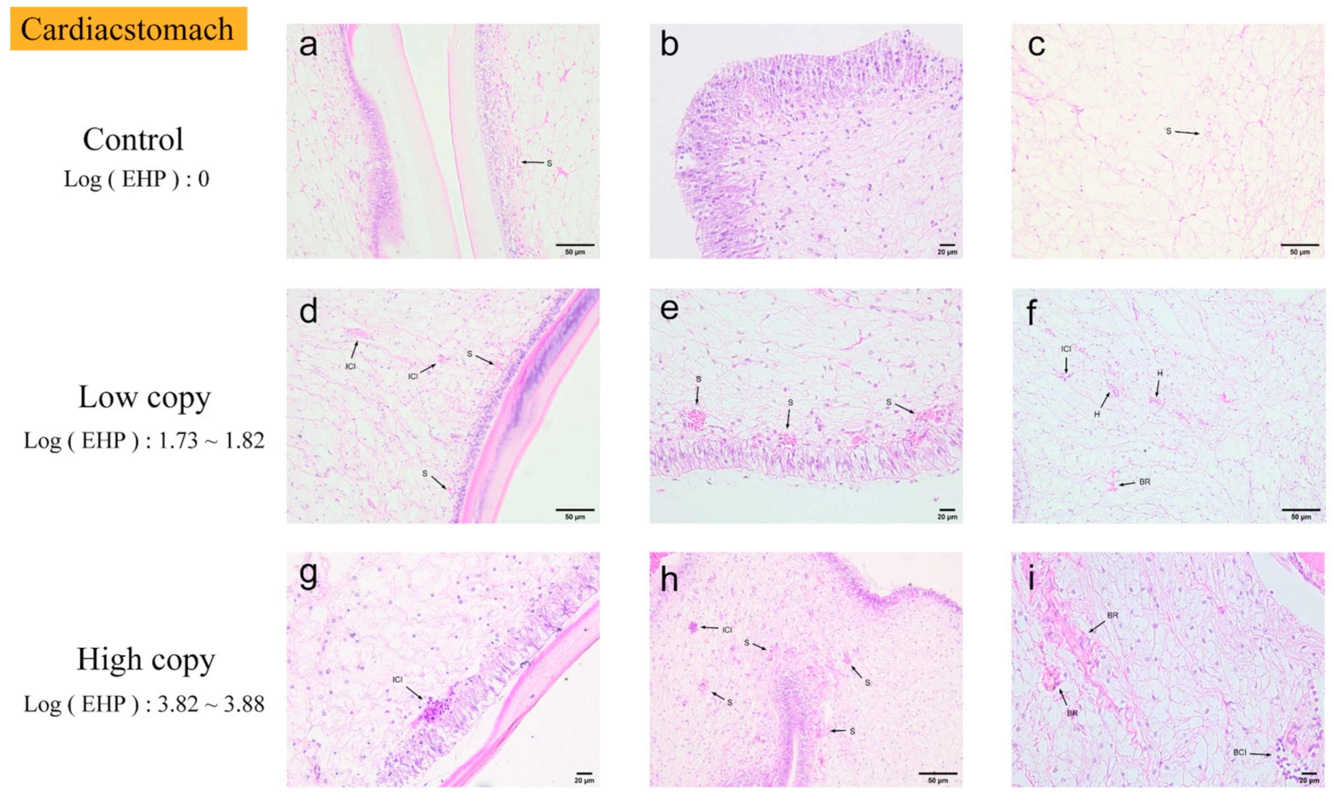 Microorganisms 13 00402 g009