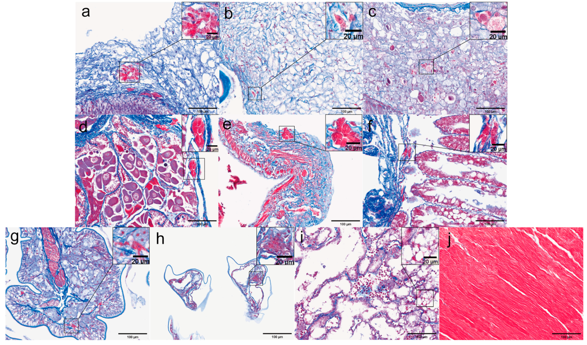 Microorganisms 13 00402 g012