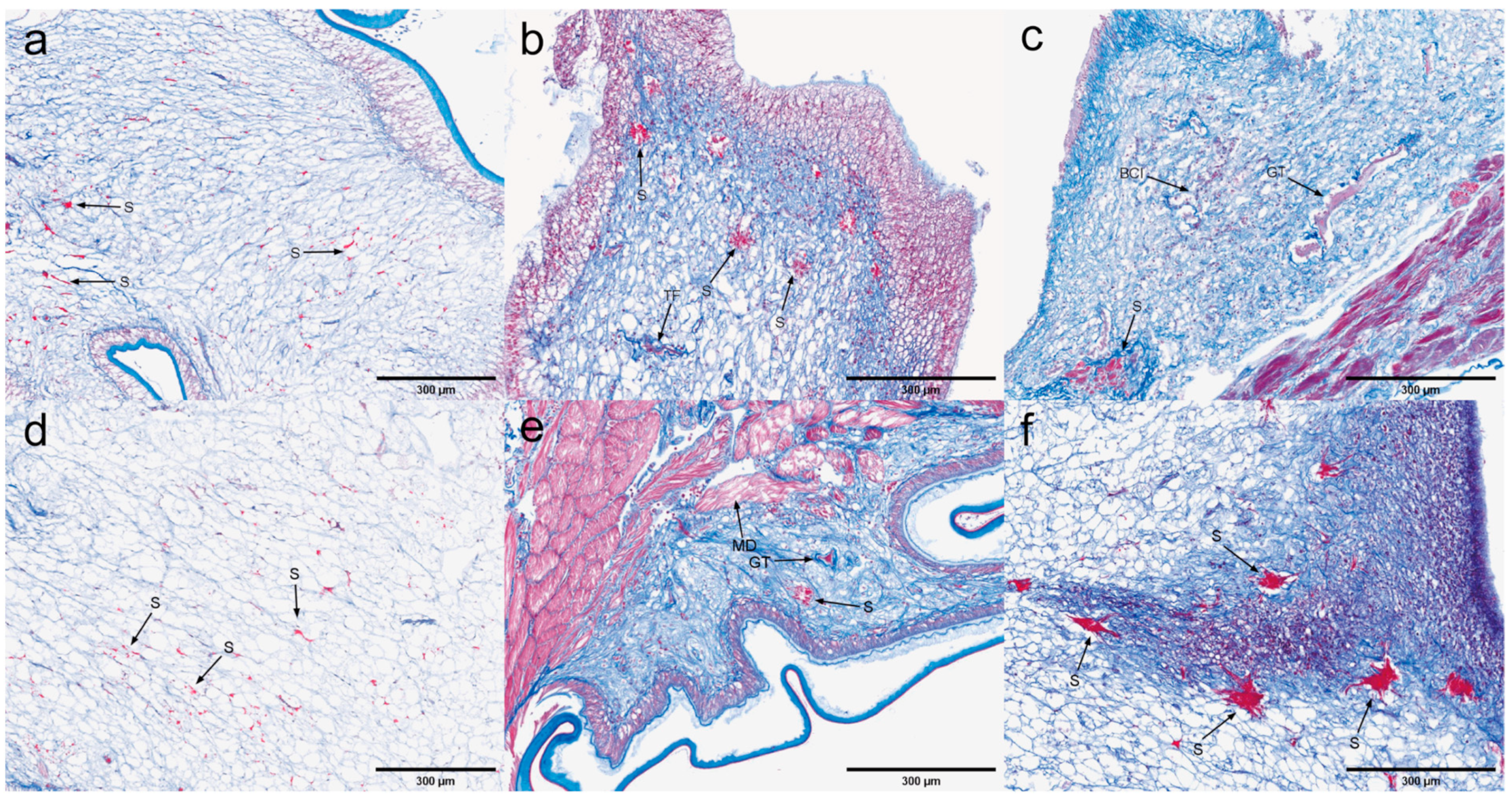 Microorganisms 13 00402 g013