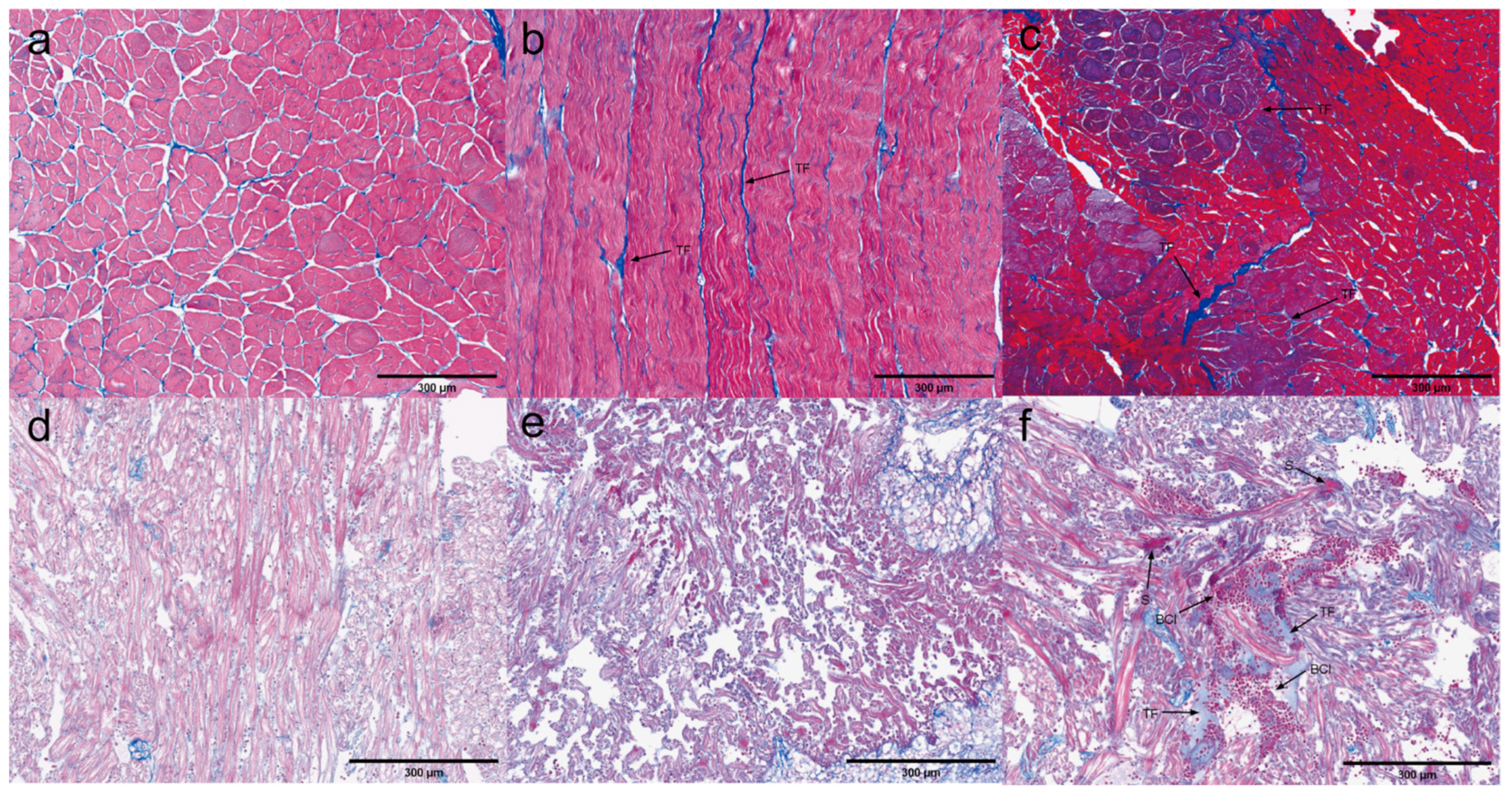 Microorganisms 13 00402 g014