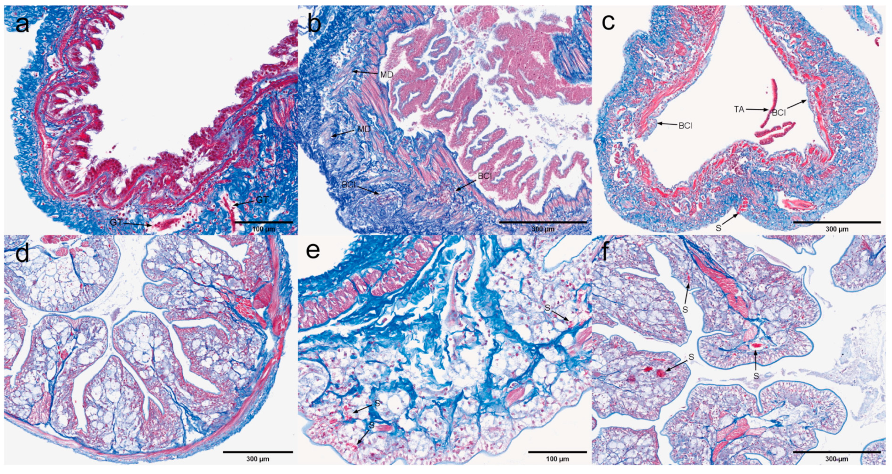 Microorganisms 13 00402 g015