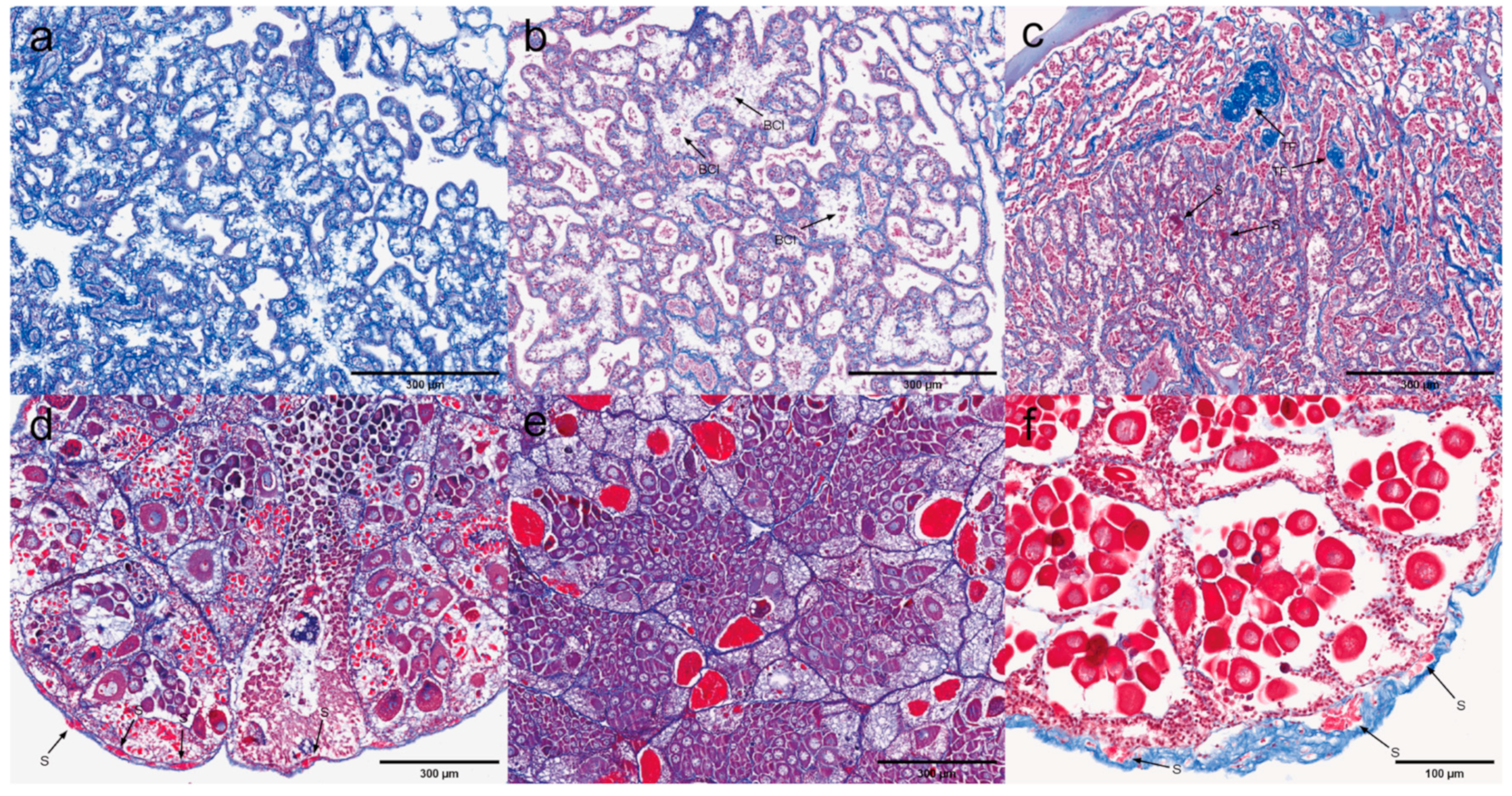 Microorganisms 13 00402 g016