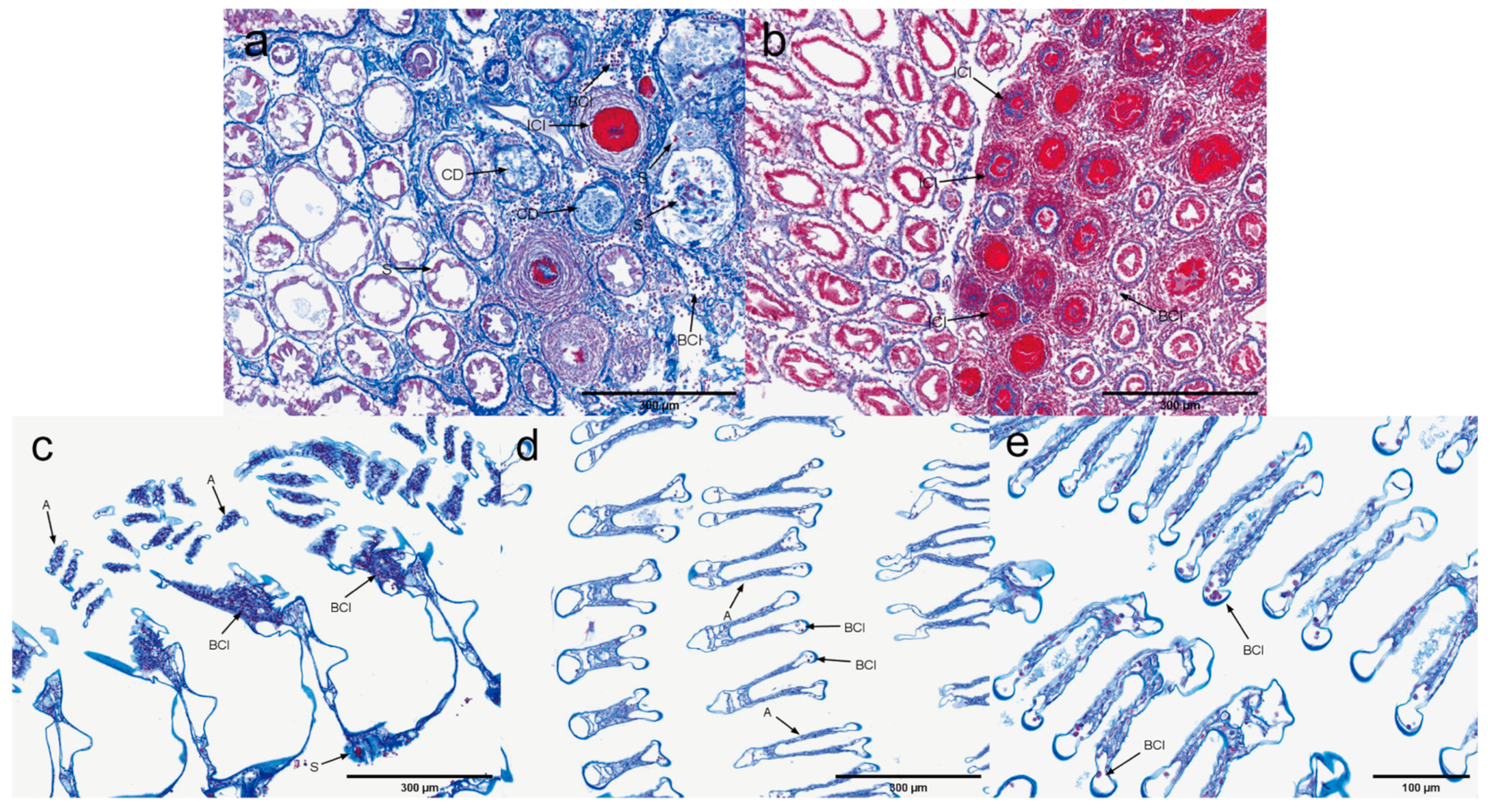 Microorganisms 13 00402 g017