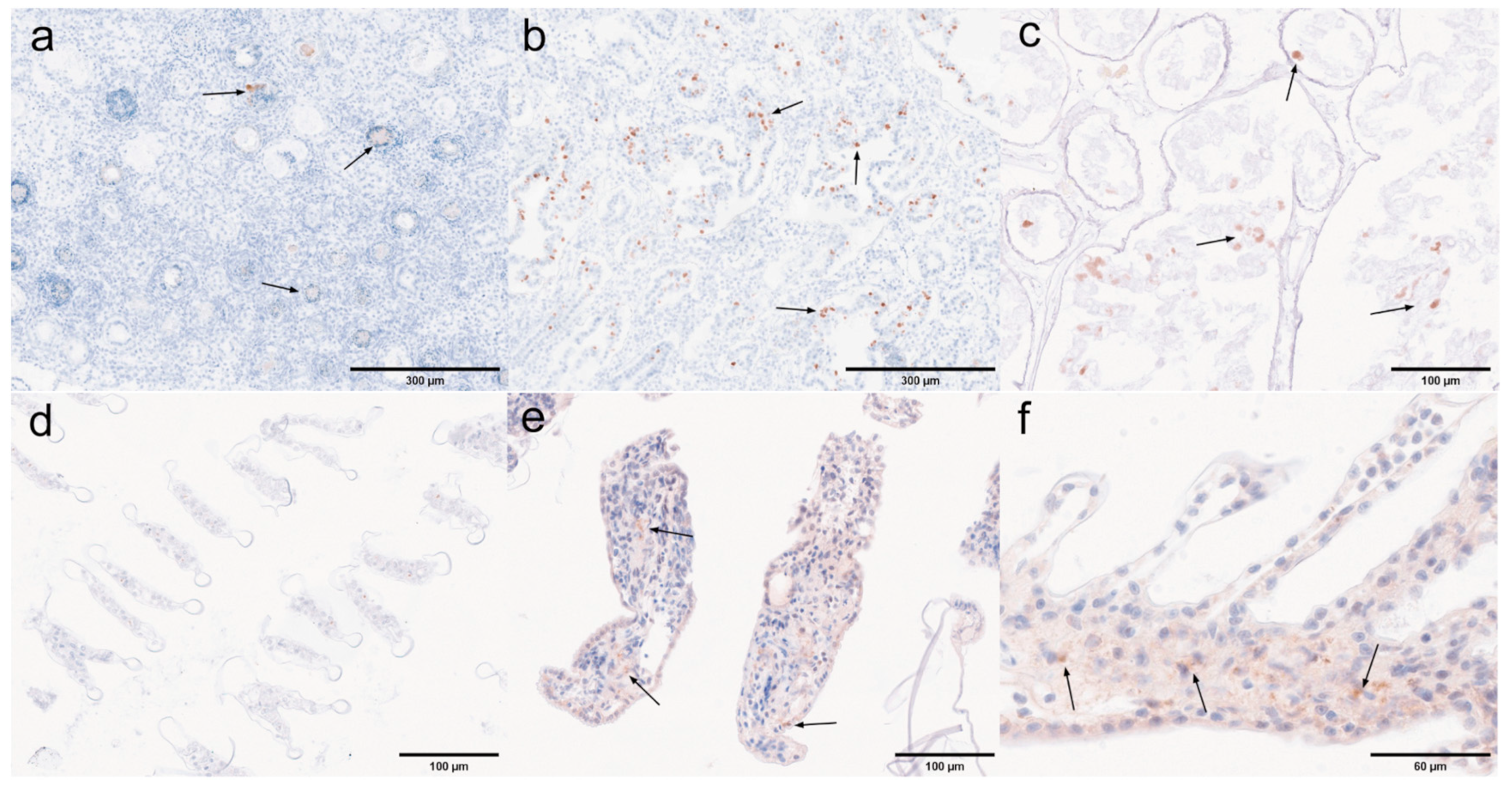 Microorganisms 13 00402 g021