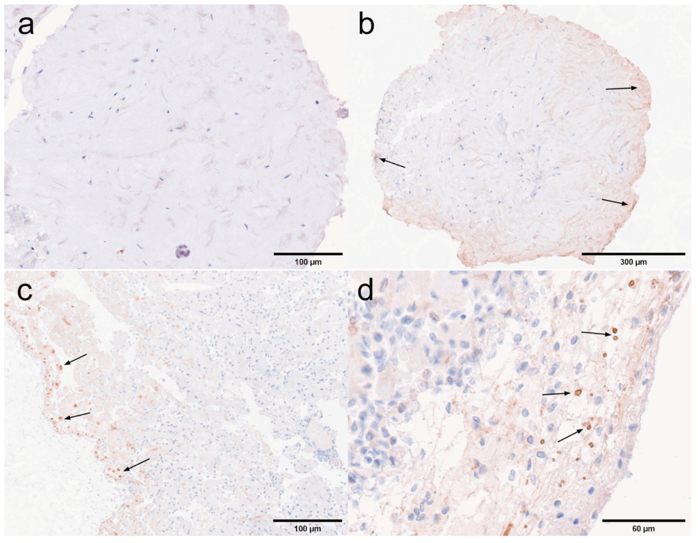 Microorganisms 13 00402 g022