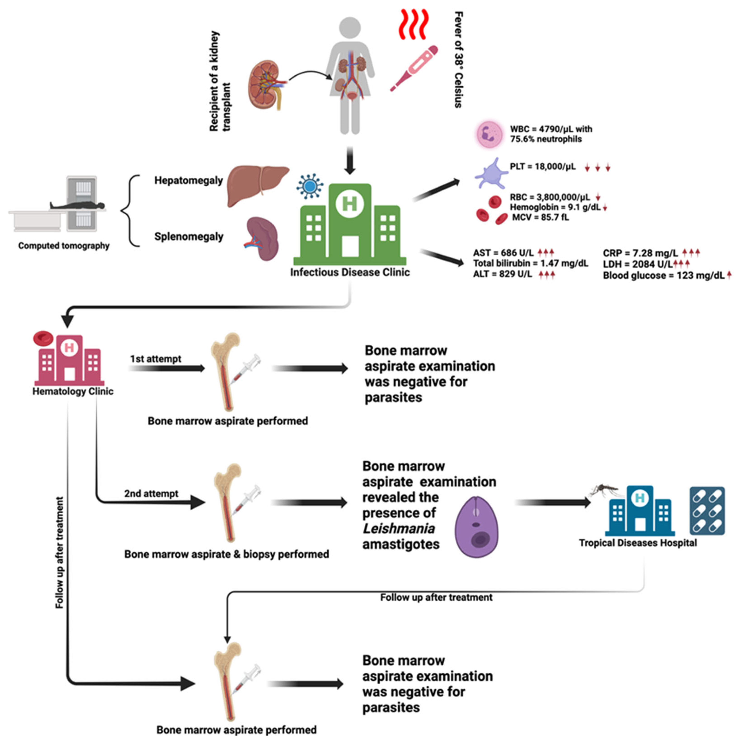 Microorganisms 13 00403 g001 Microorganisms 13 00403 g001