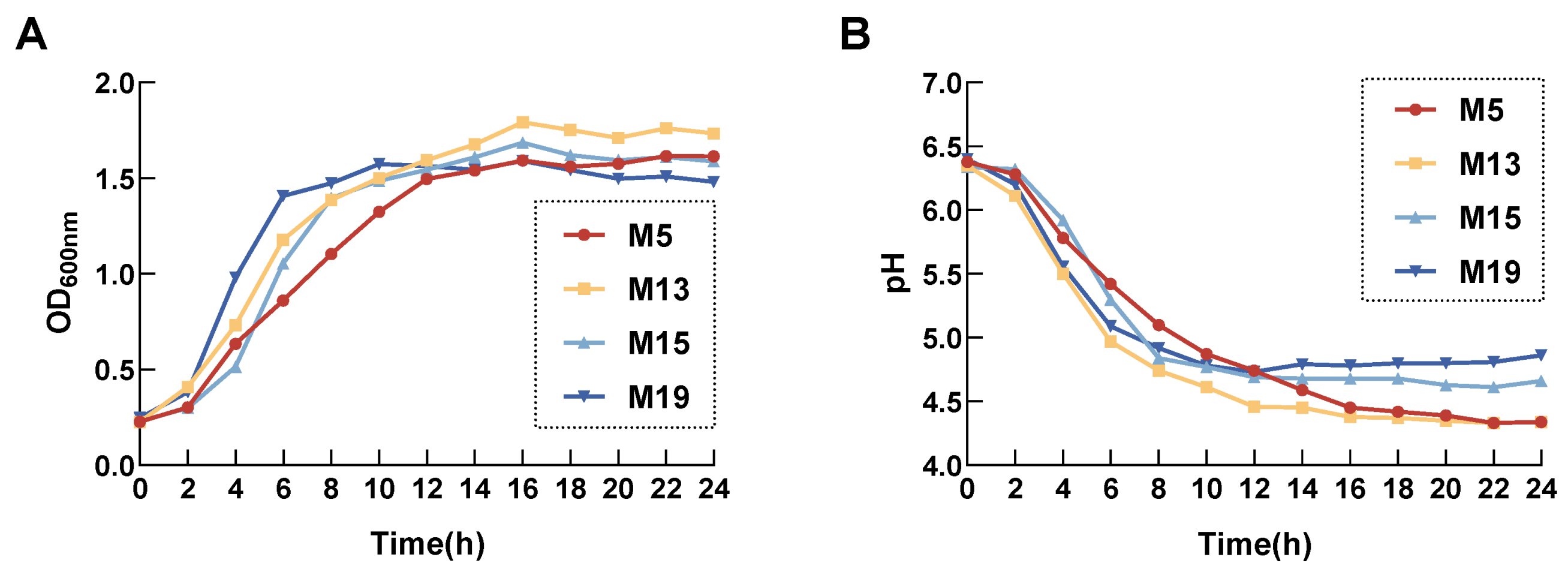 Microorganisms 13 00404 g002