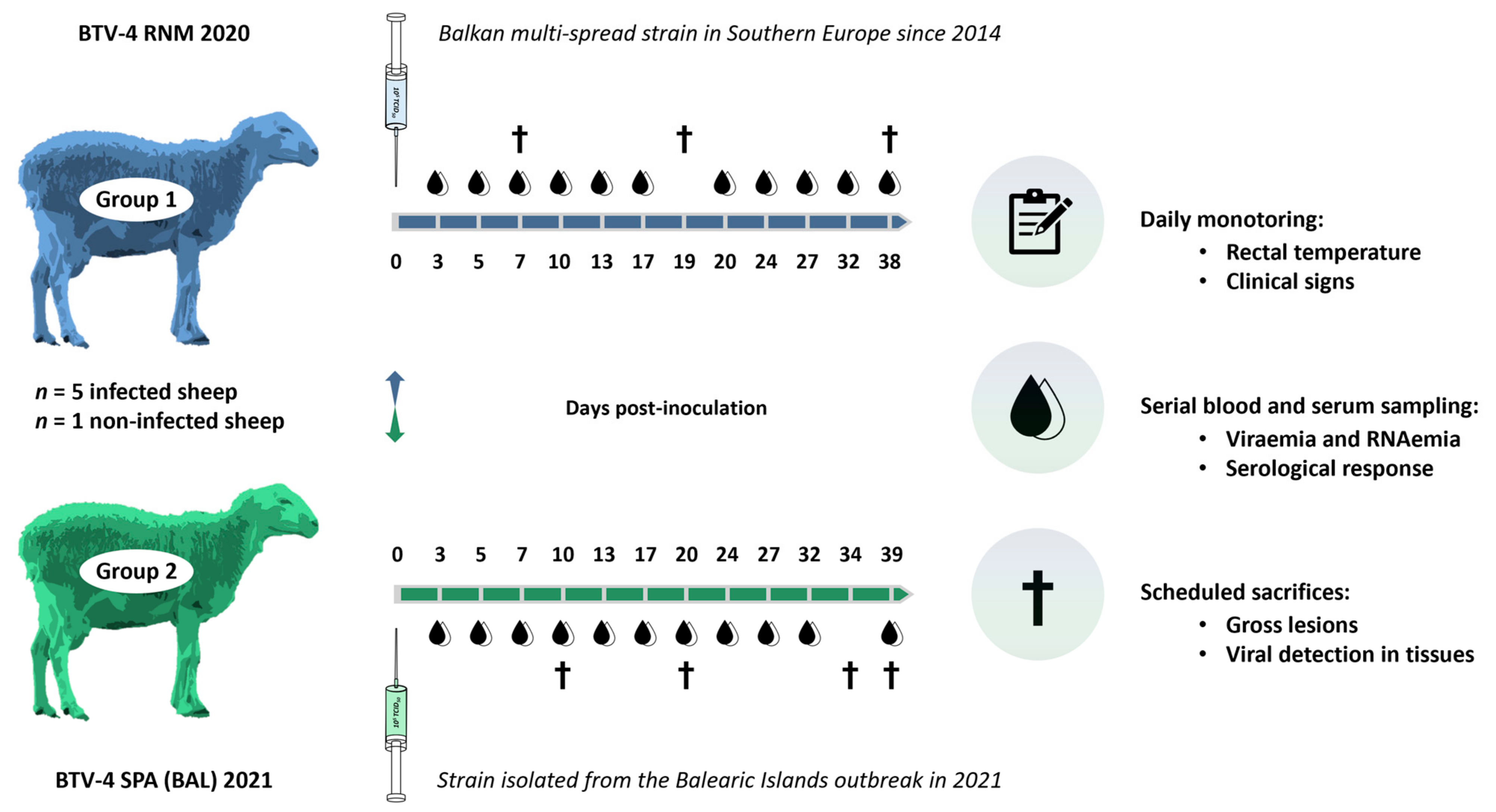 Microorganisms 13 00411 g001