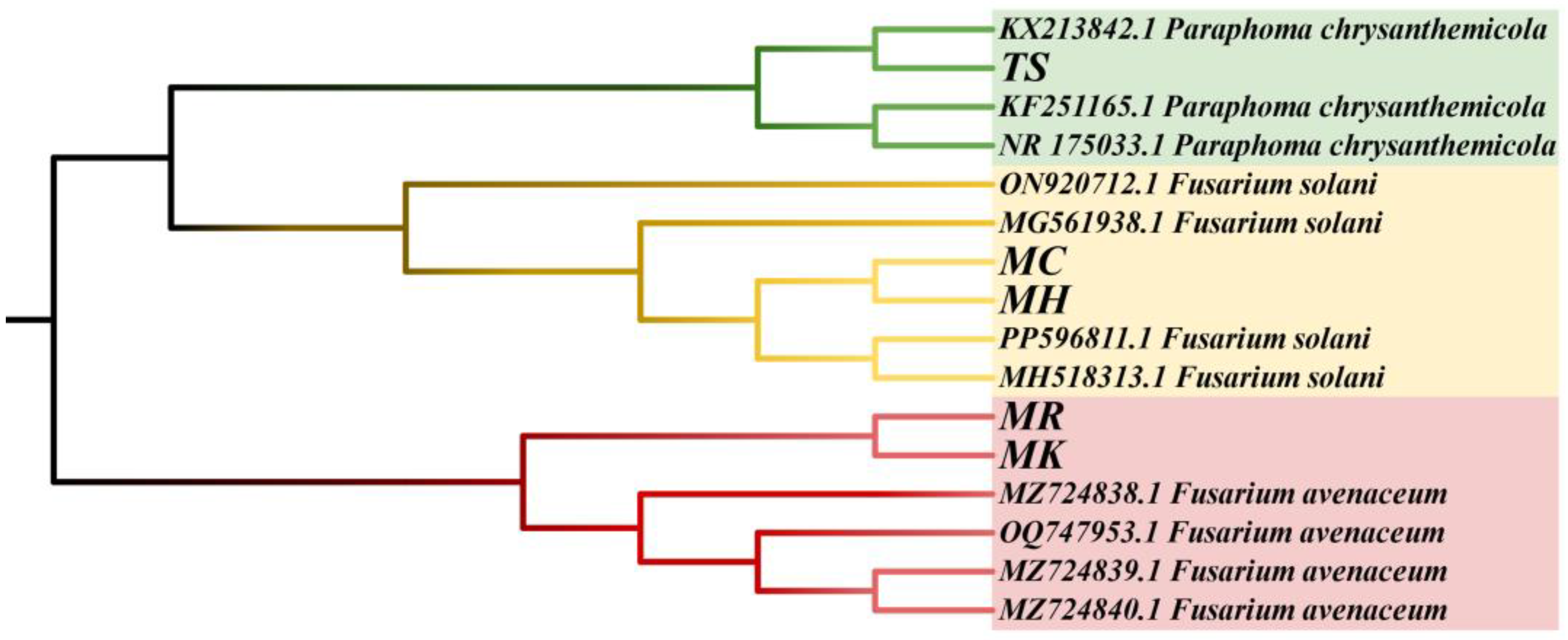 Microorganisms 13 00417 g008