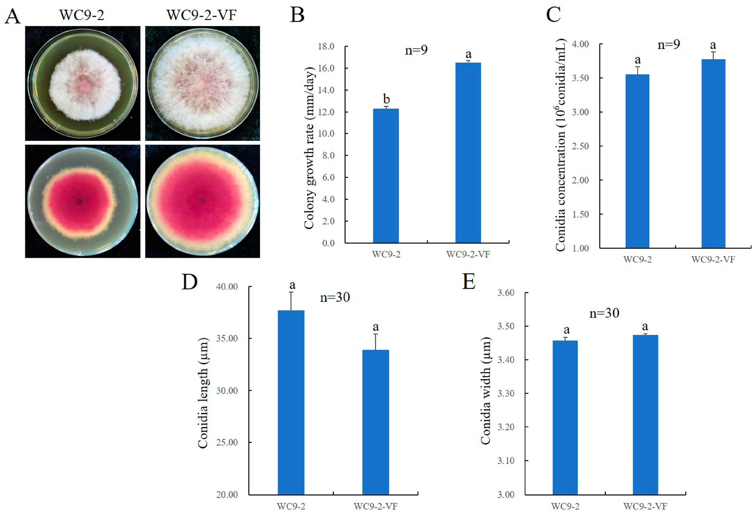 Microorganisms 13 00418 g003