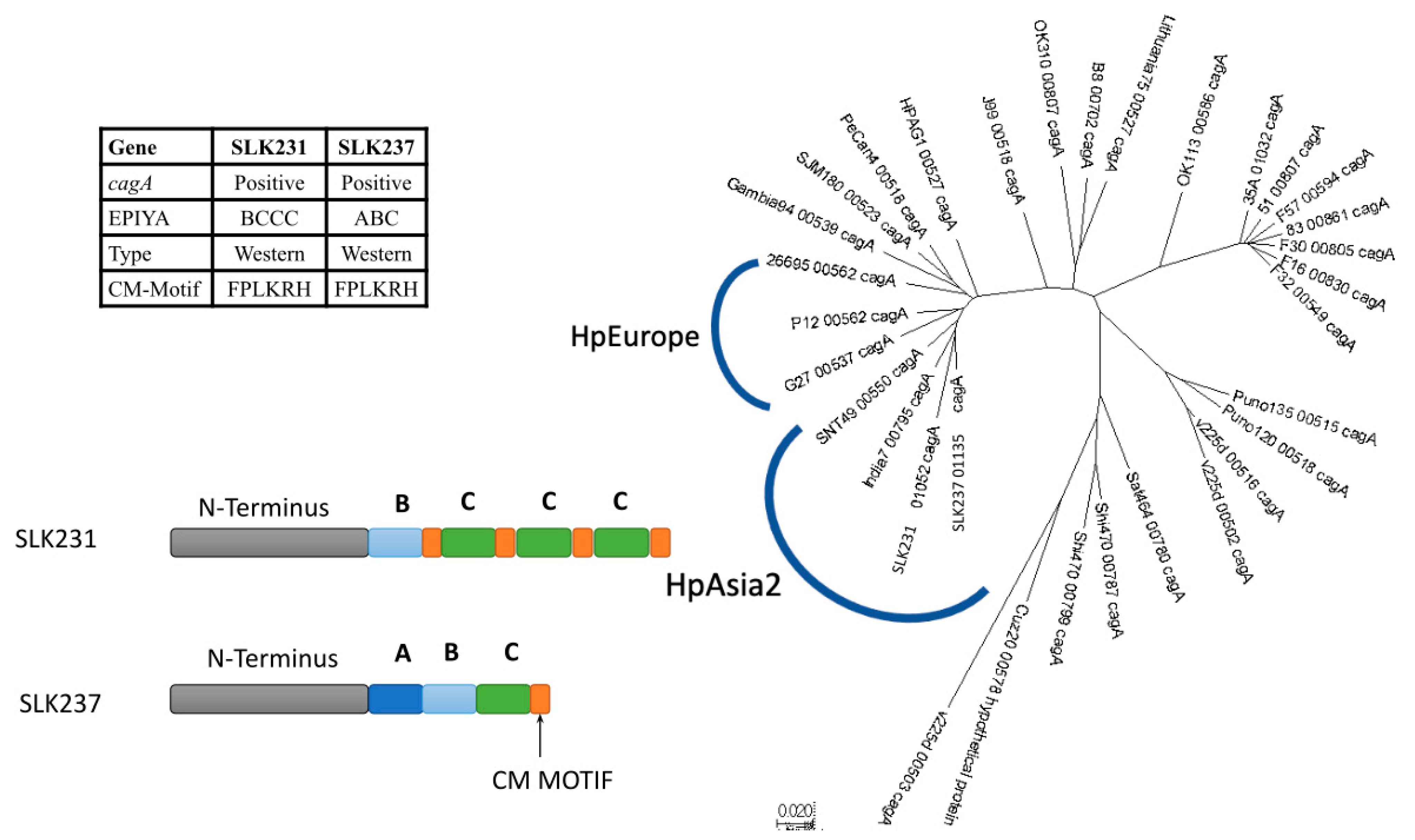 Microorganisms 13 00420 g003