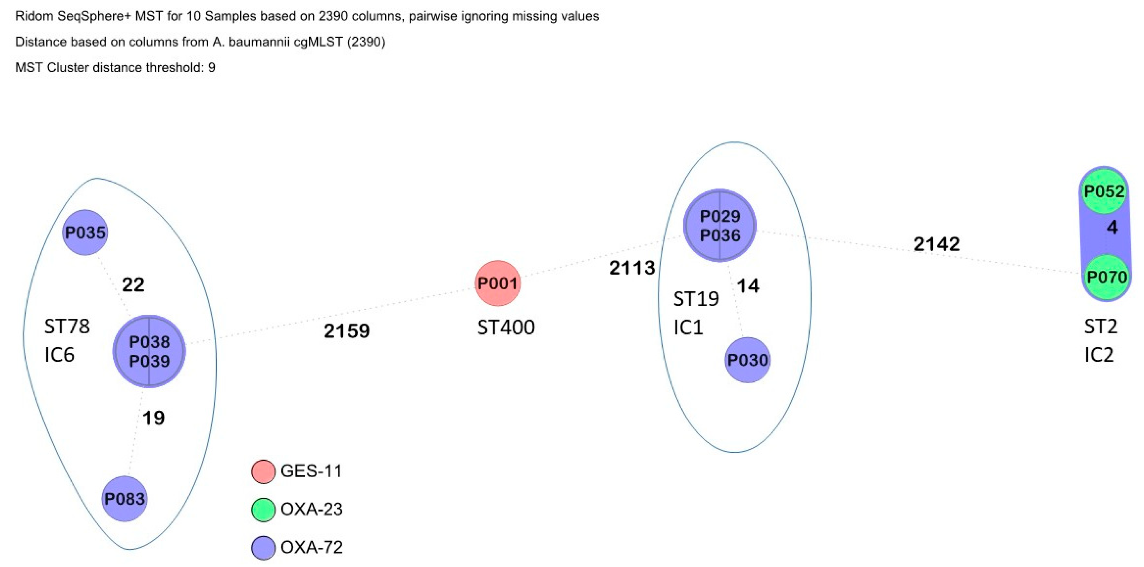 Microorganisms 13 00421 g002
