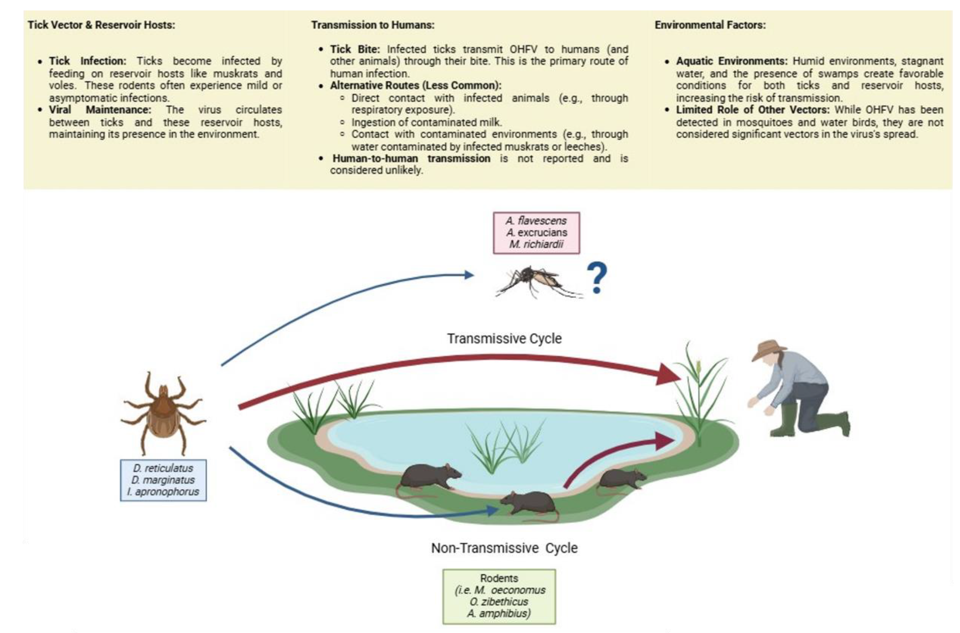 Microorganisms 13 00426 g005