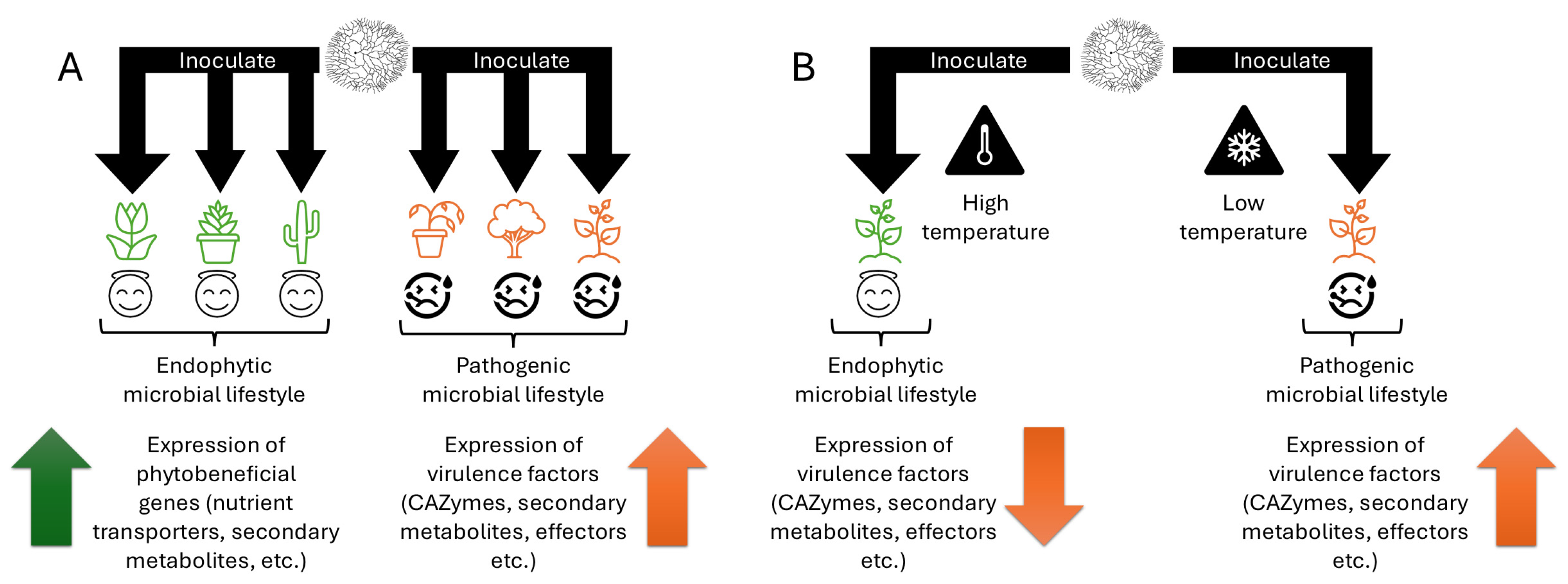 Microorganisms 13 00428 g001
