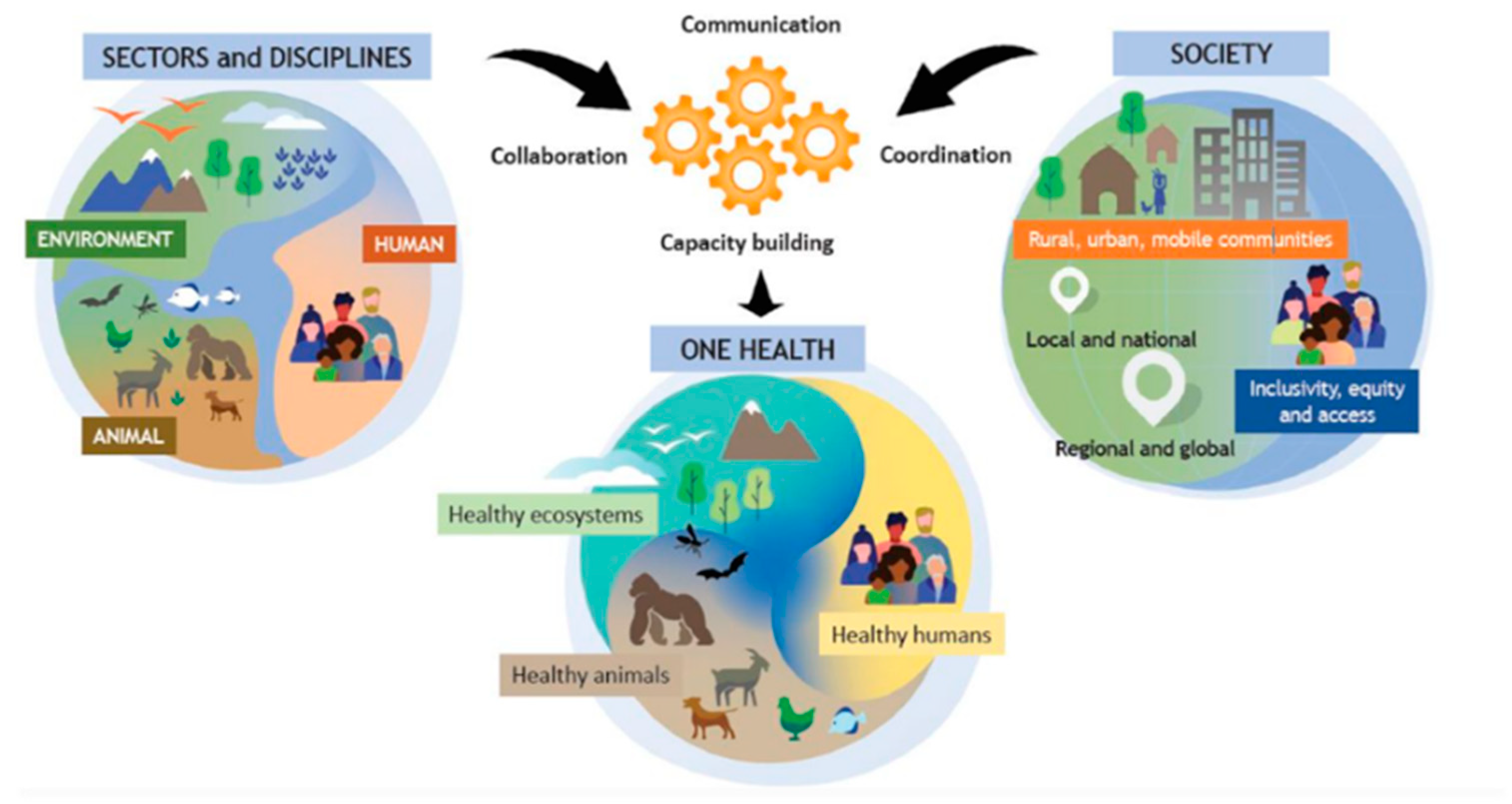 Microorganisms 13 00429 g001
