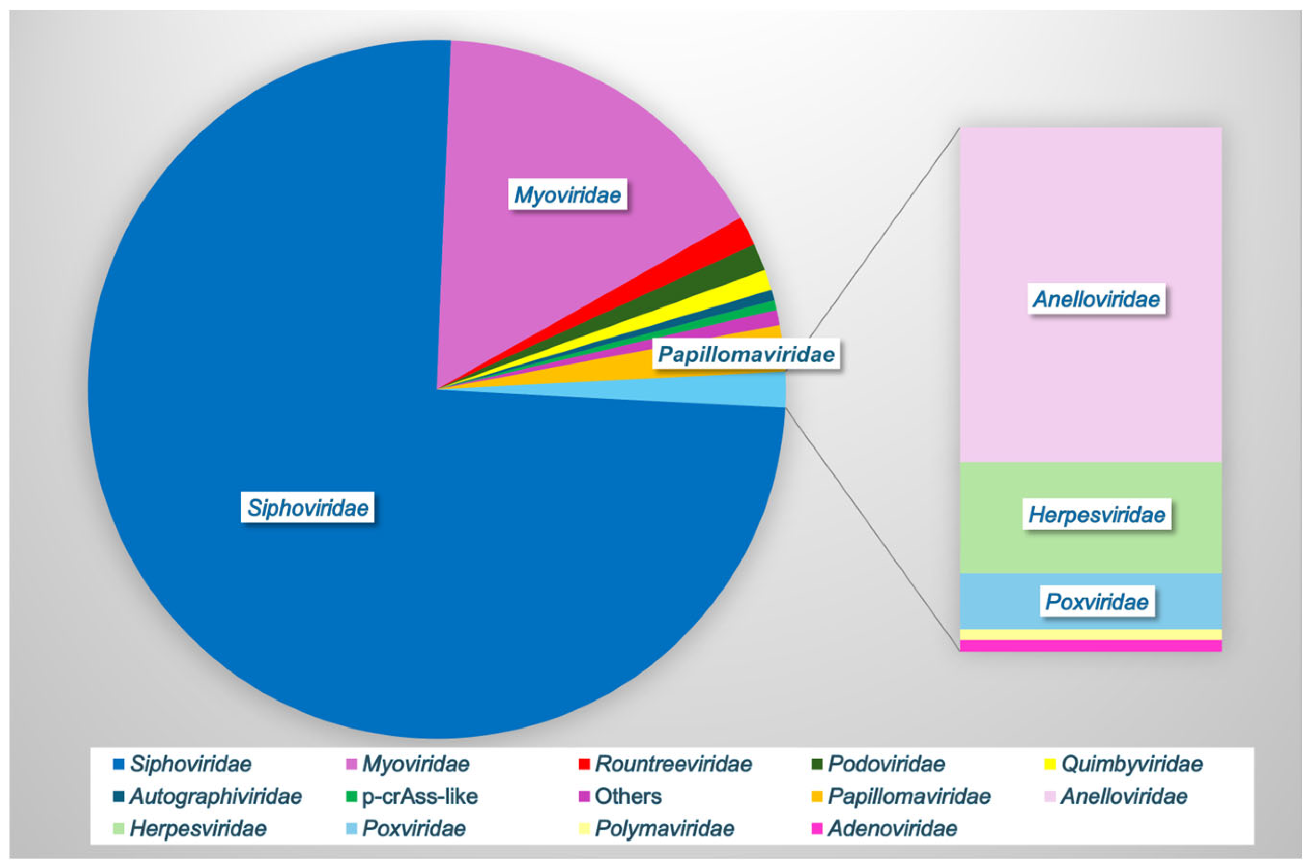 Microorganisms 13 00431 g002