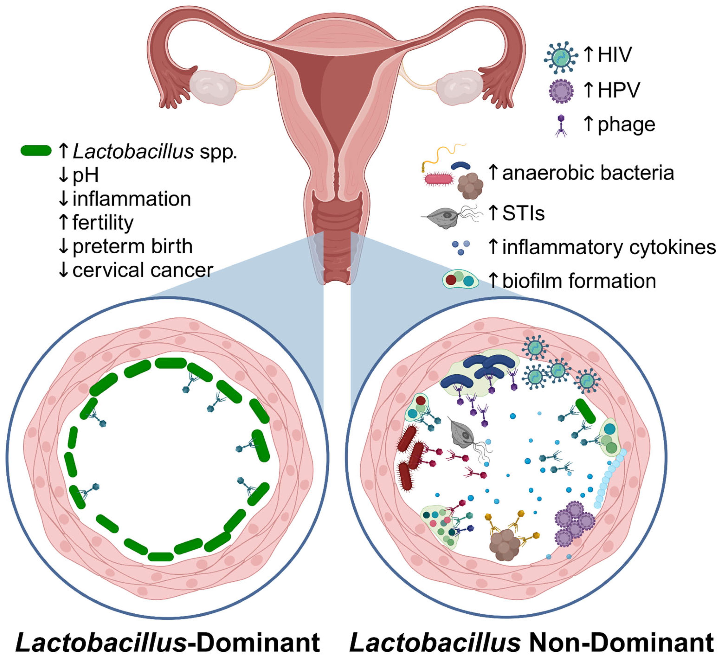 Microorganisms 13 00431 g003
