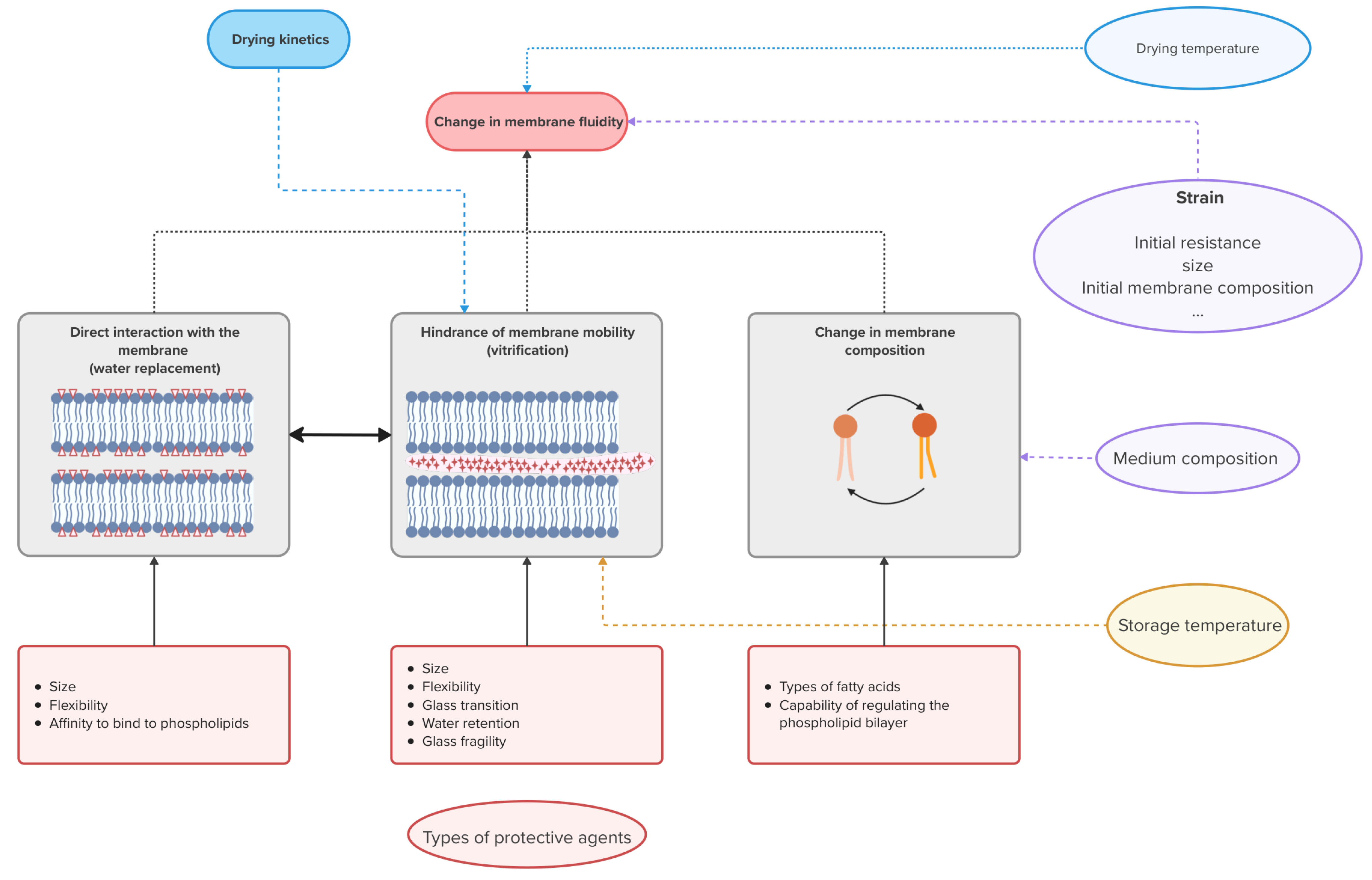Microorganisms 13 00435 g001