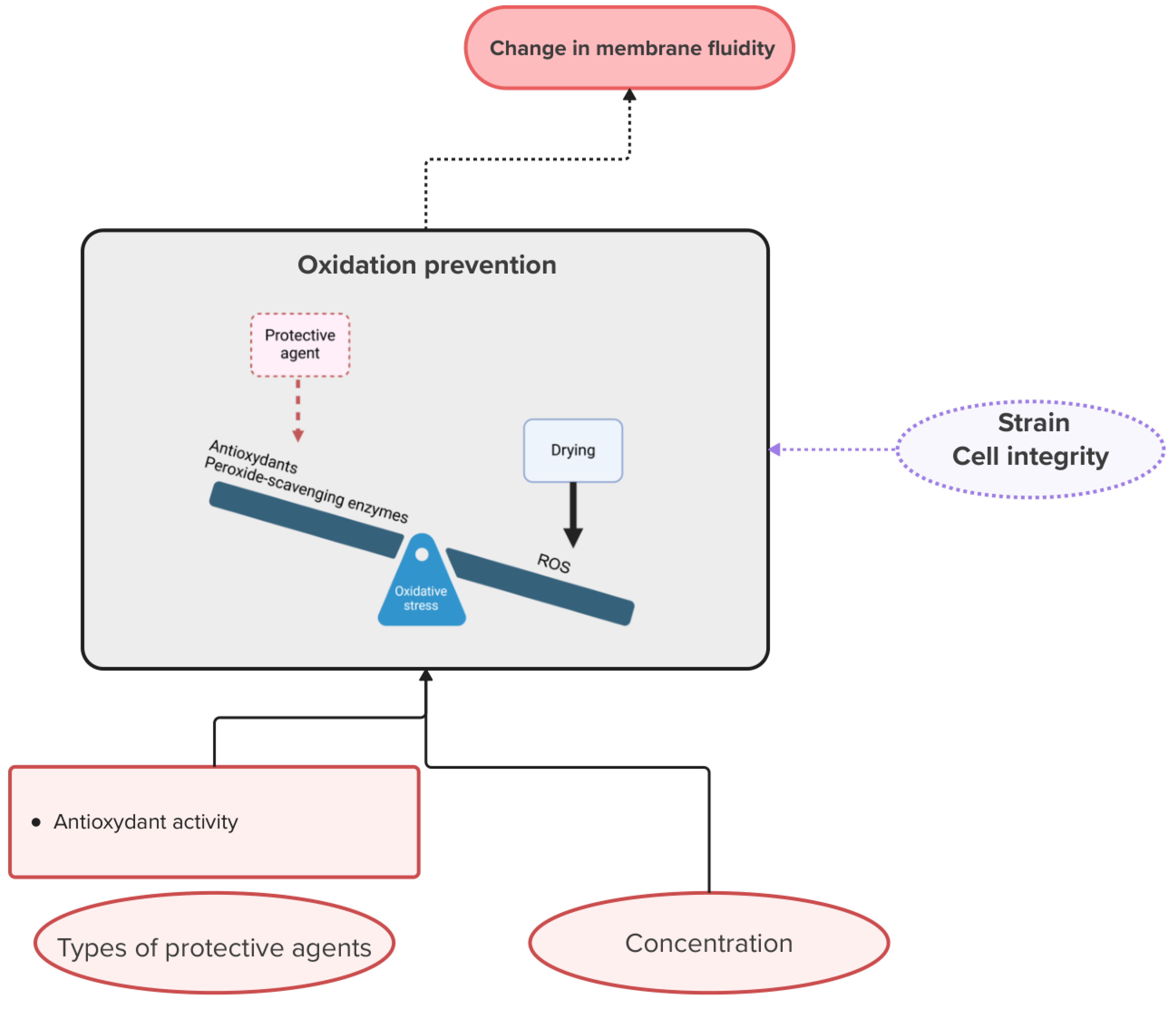Microorganisms 13 00435 g003