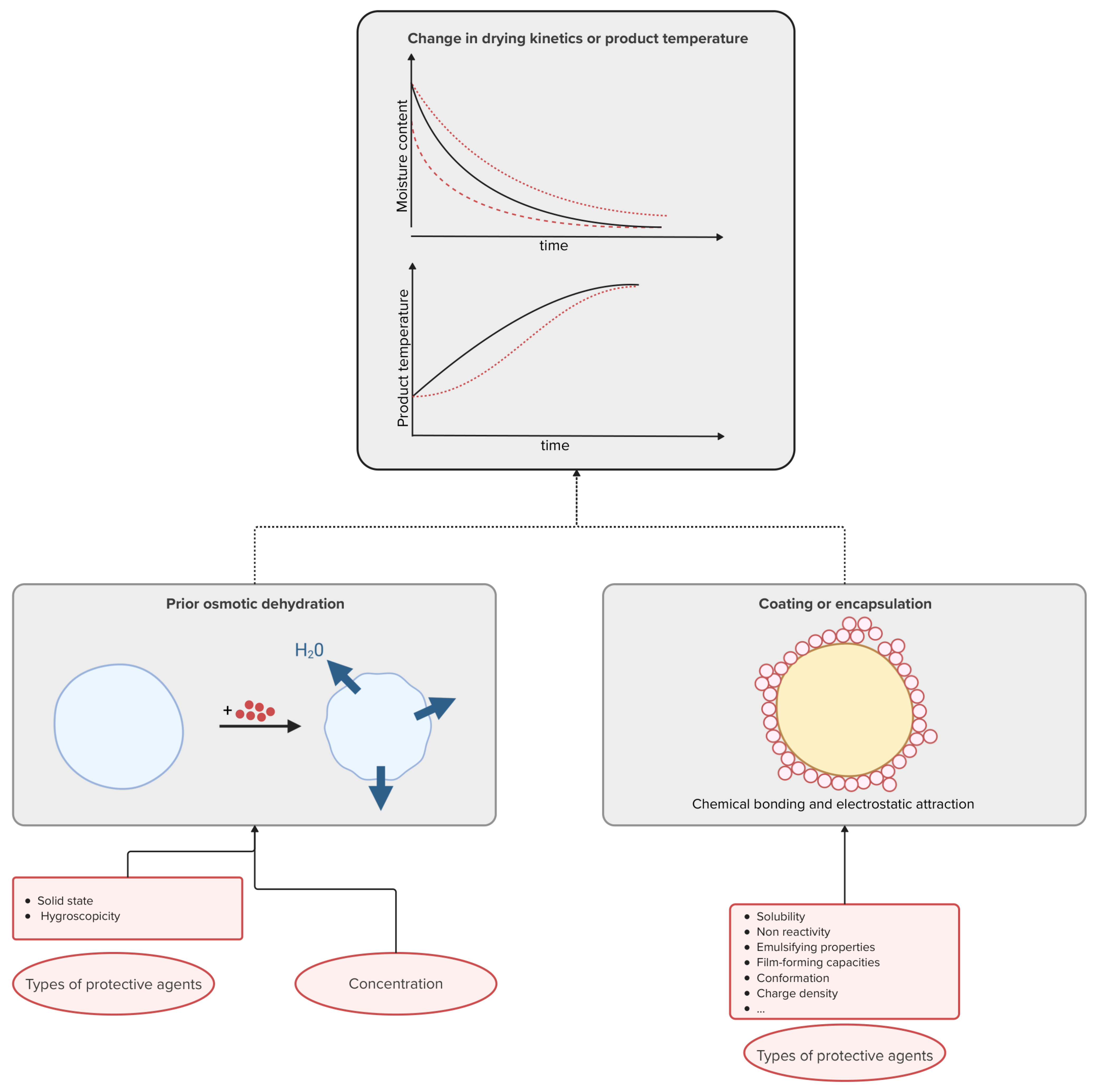 Microorganisms 13 00435 g004