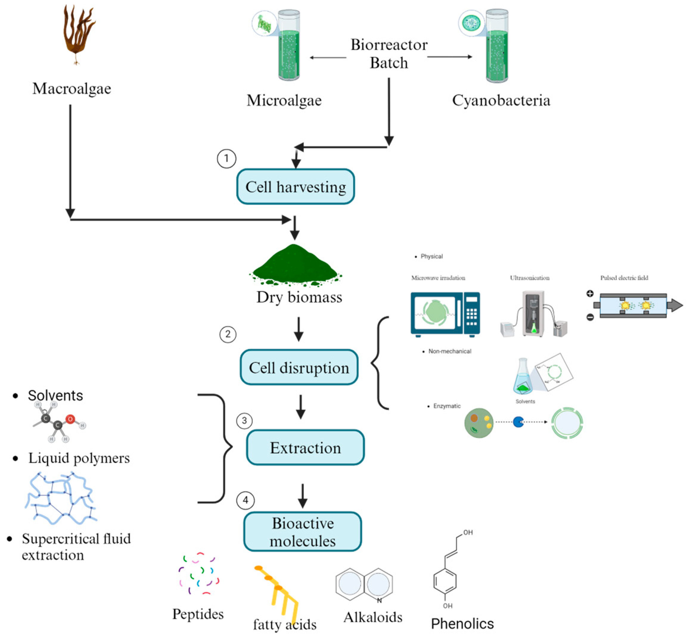 Microorganisms 13 00439 g003