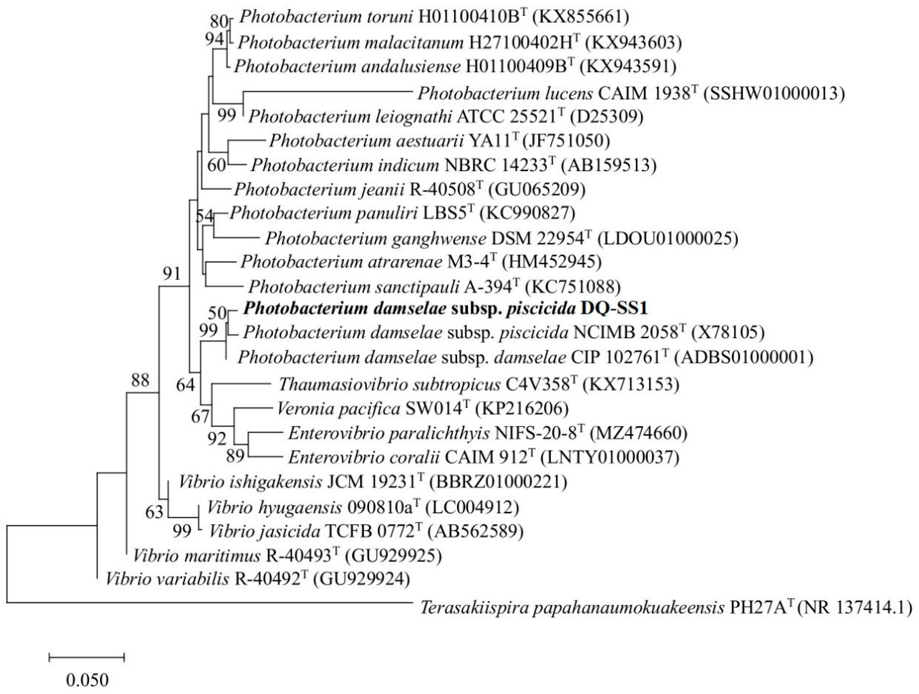 Microorganisms 13 00441 g002