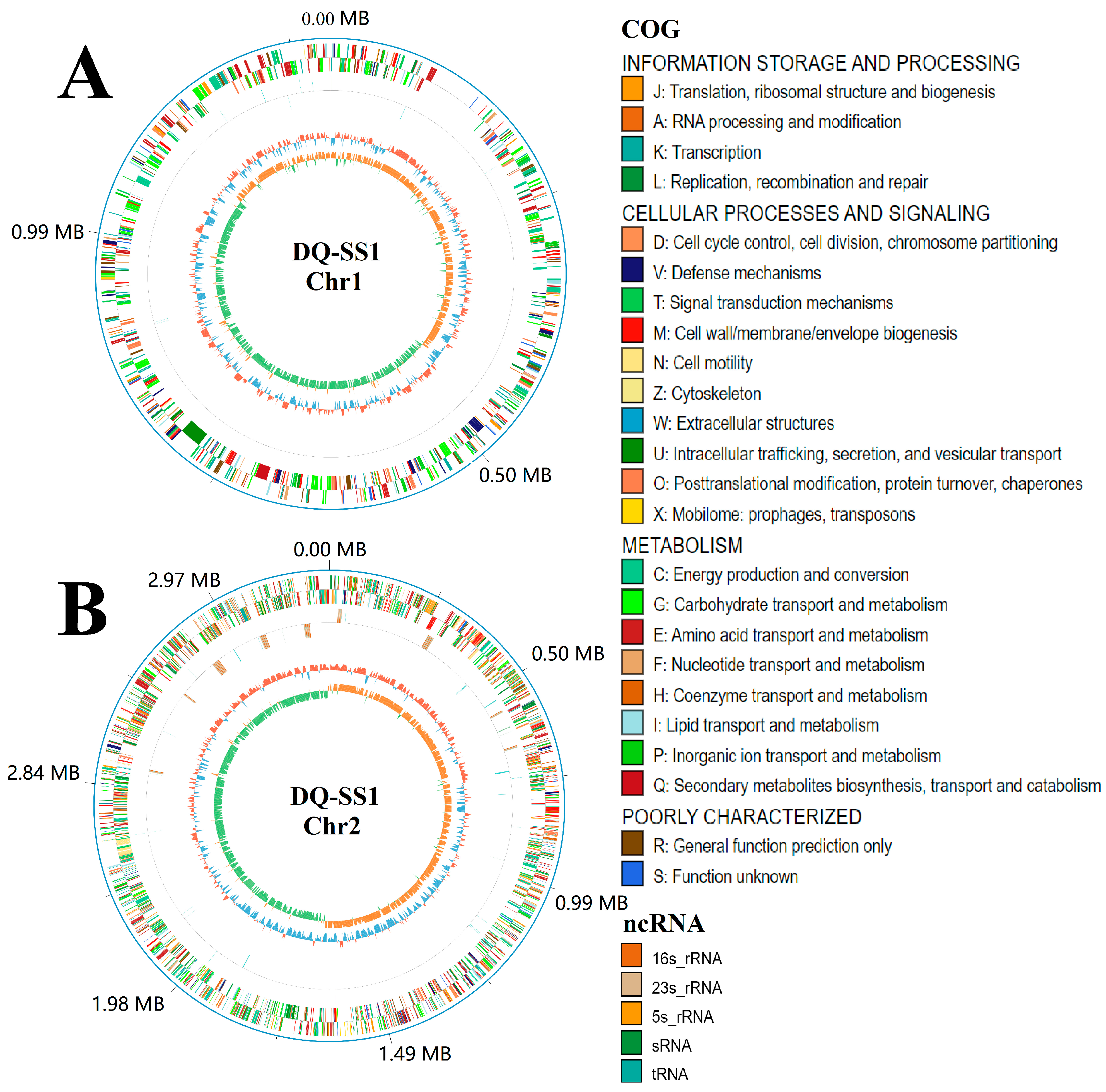 Microorganisms 13 00441 g003