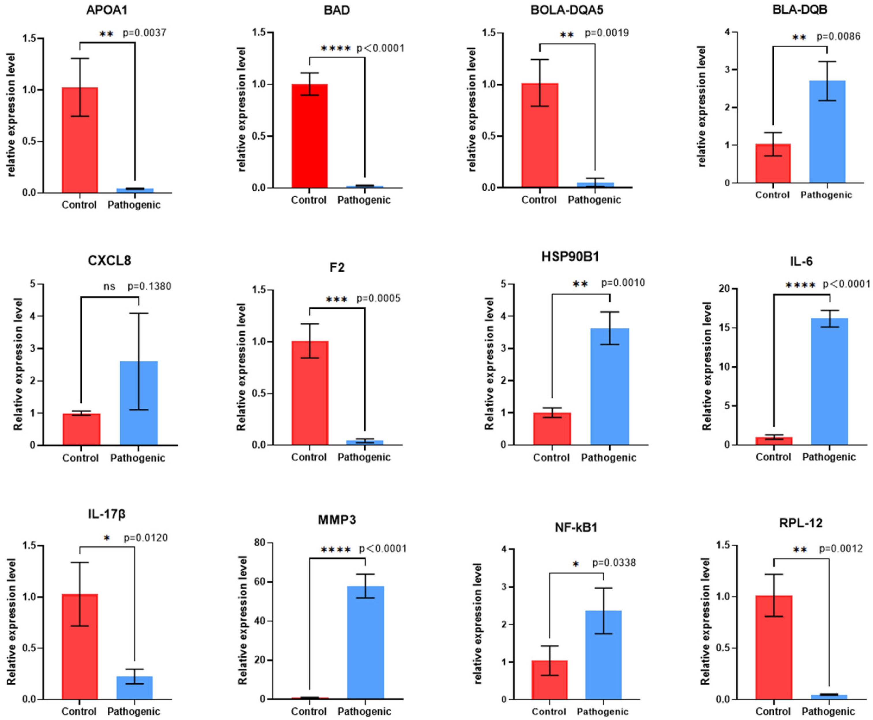 Microorganisms 13 00442 g004