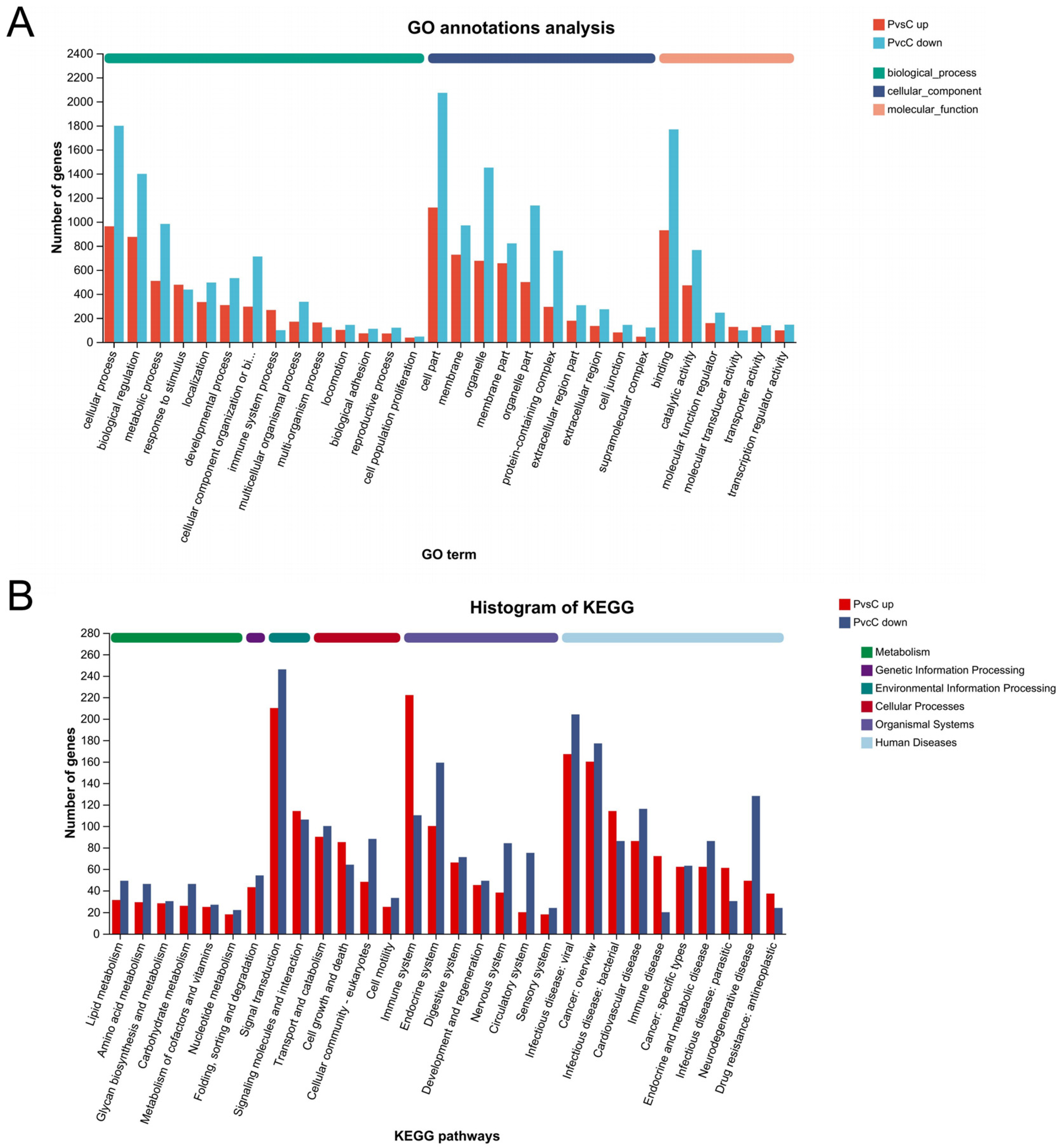 Microorganisms 13 00442 g005