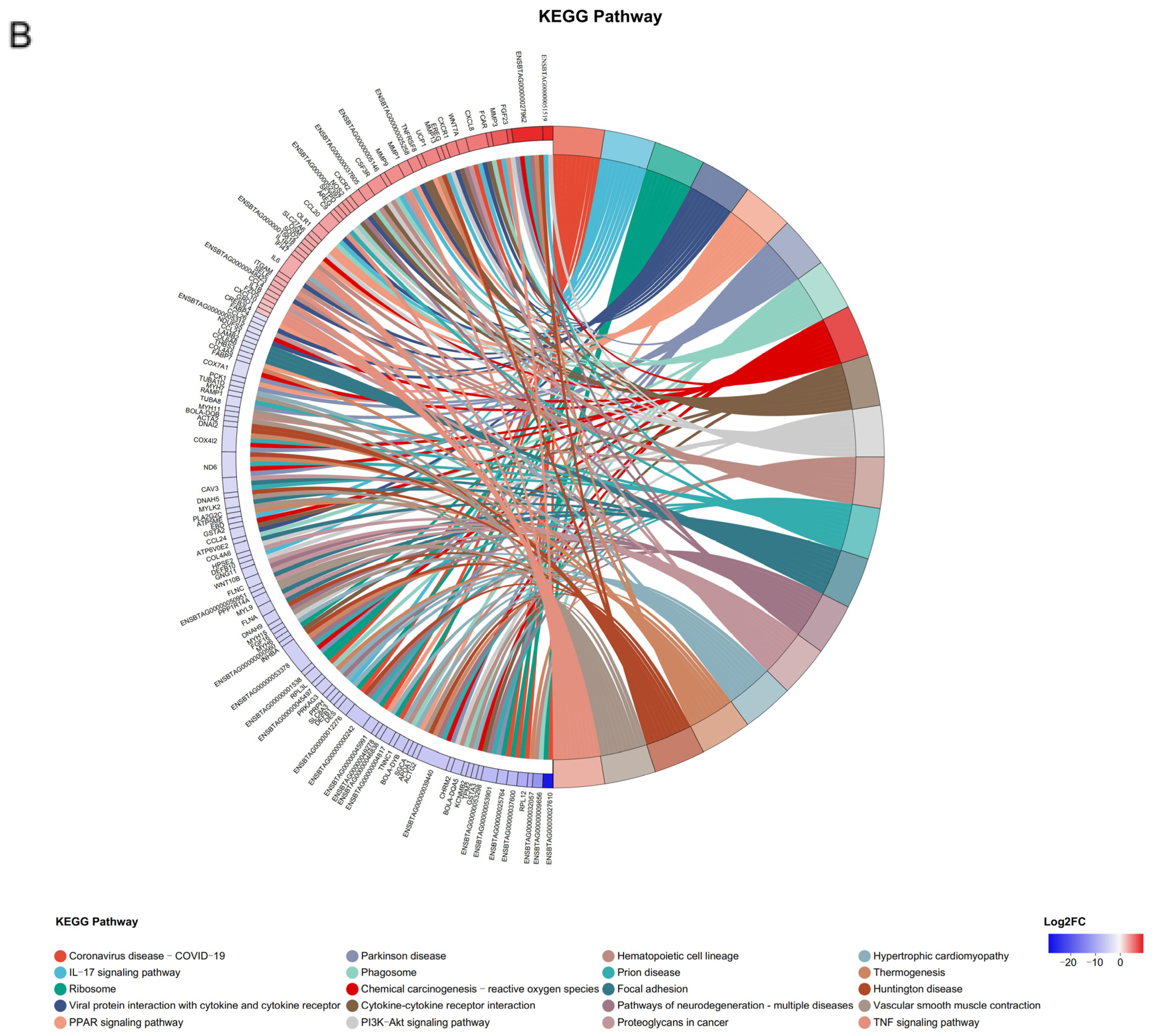 Microorganisms 13 00442 g007b