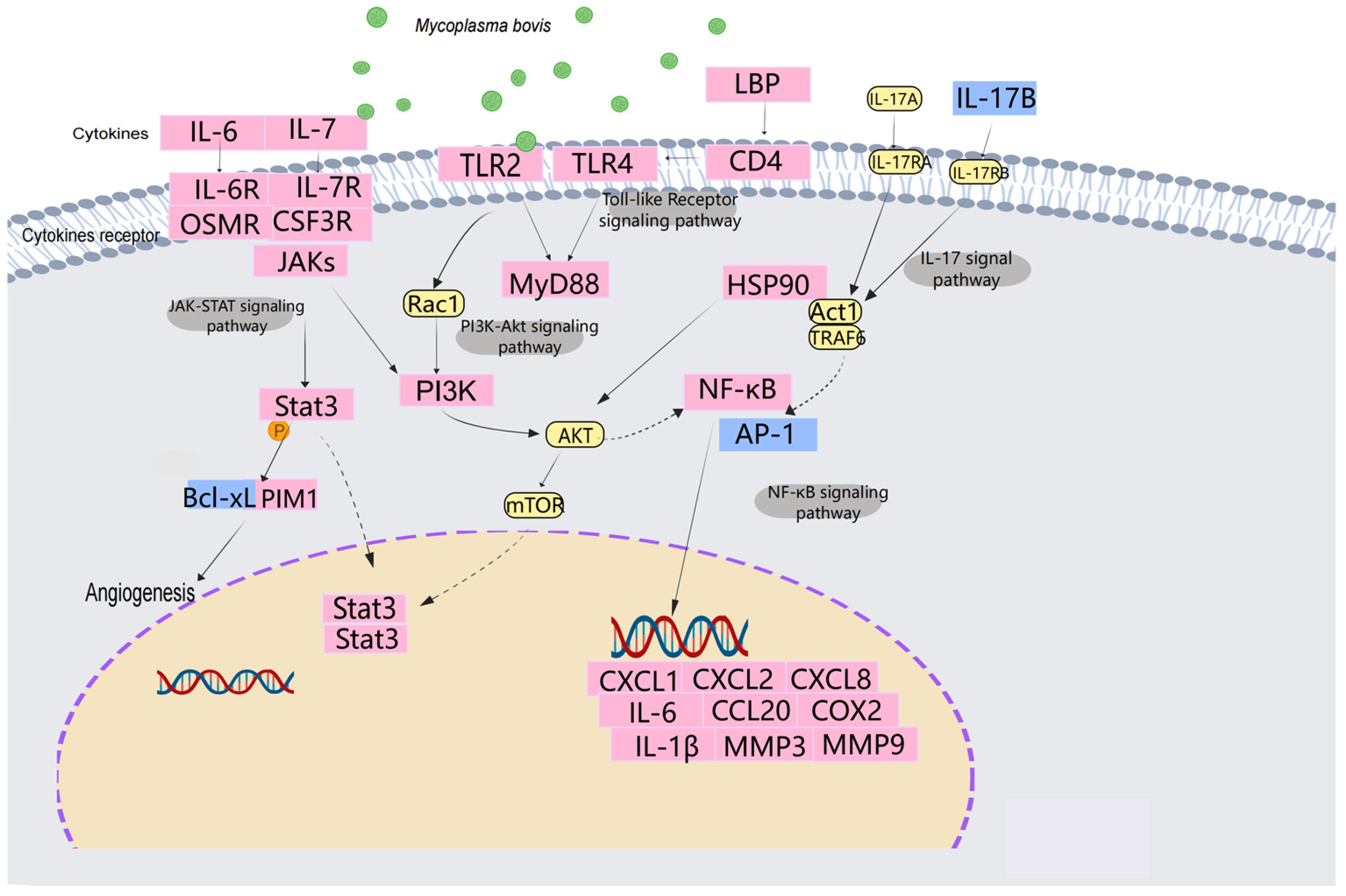 Microorganisms 13 00442 g009
