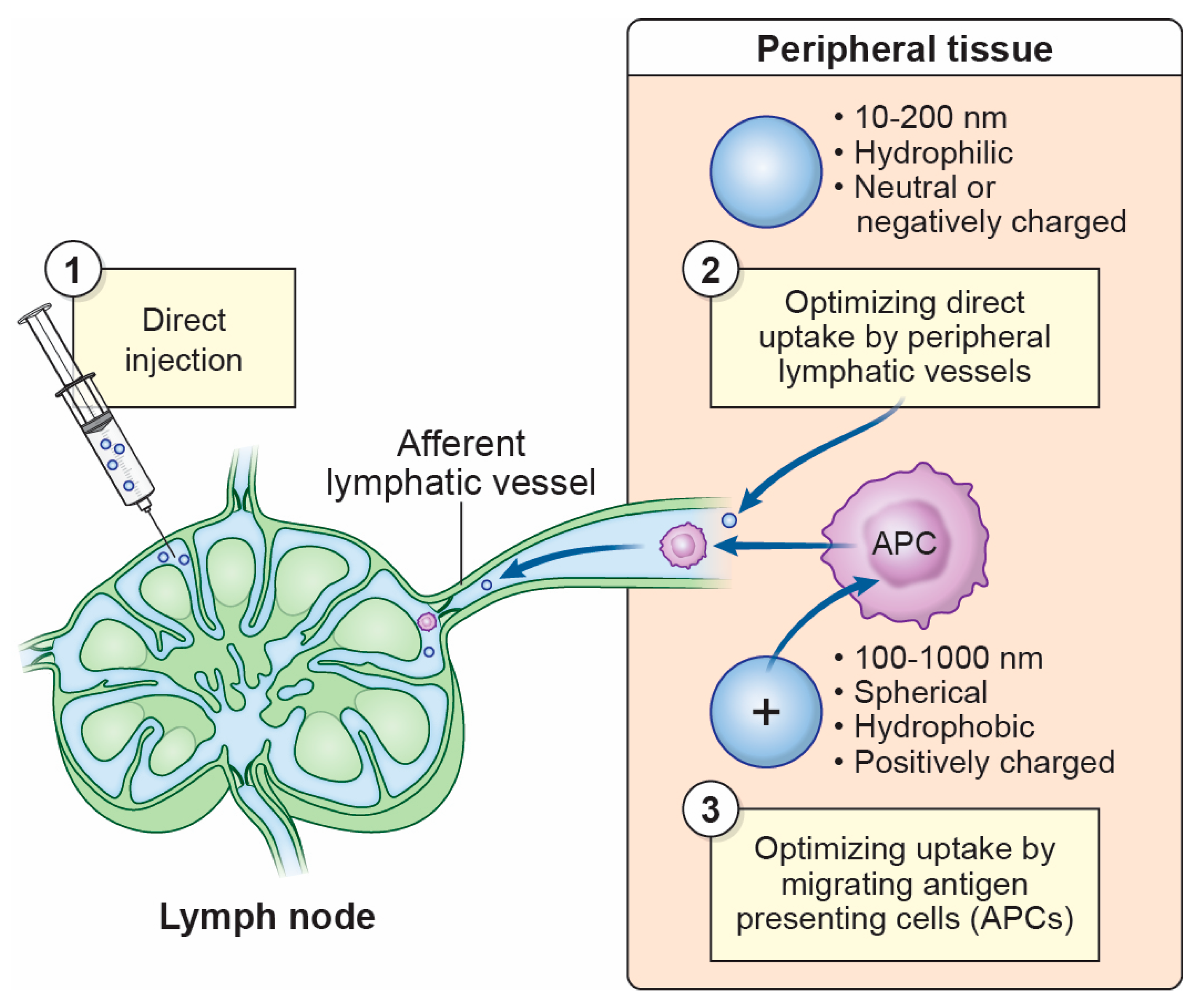 Microorganisms 13 00443 g002
