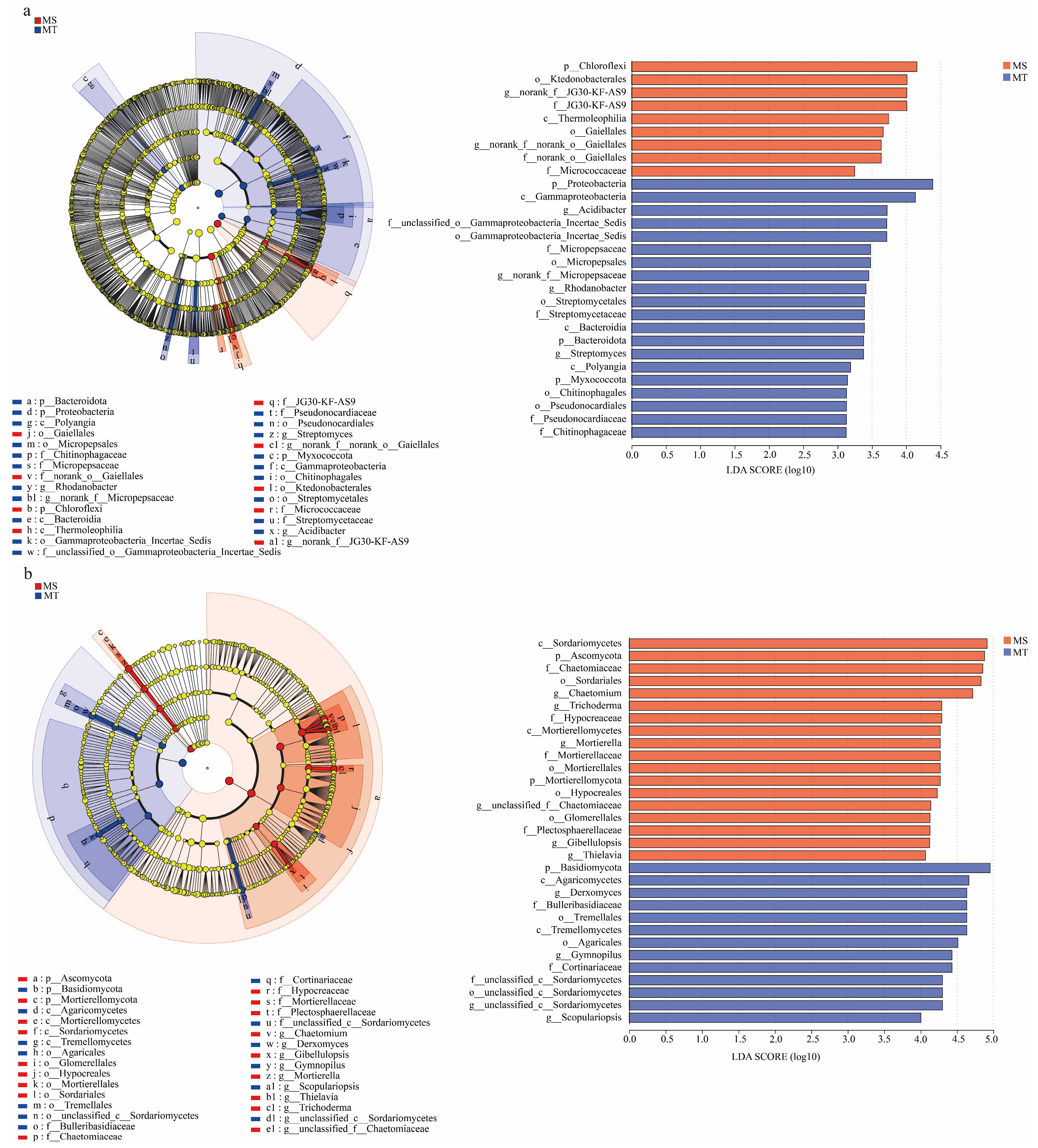 Microorganisms 13 00444 g003