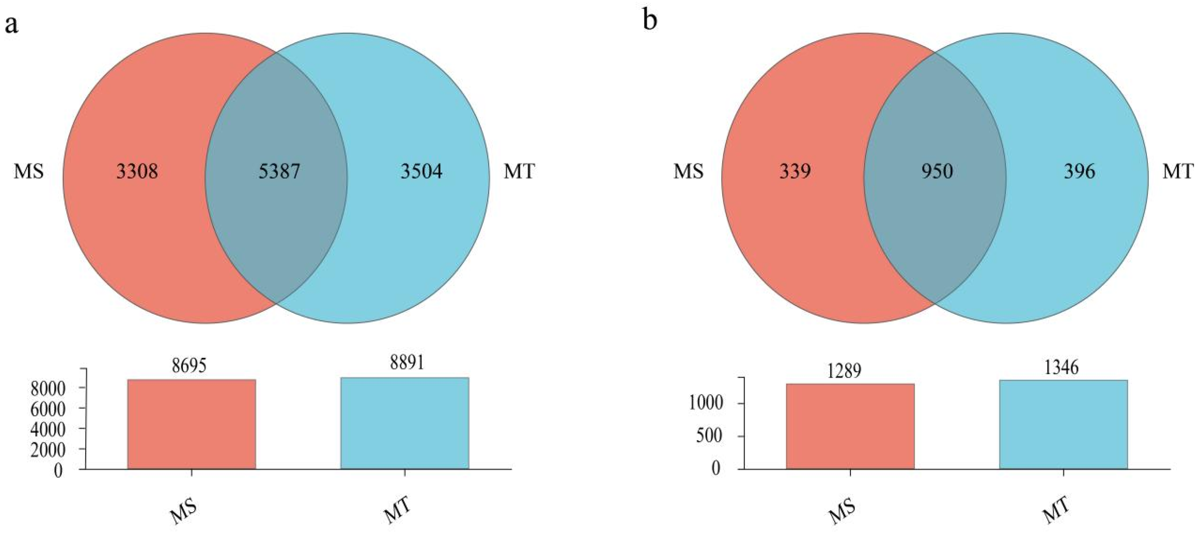 Microorganisms 13 00444 g004