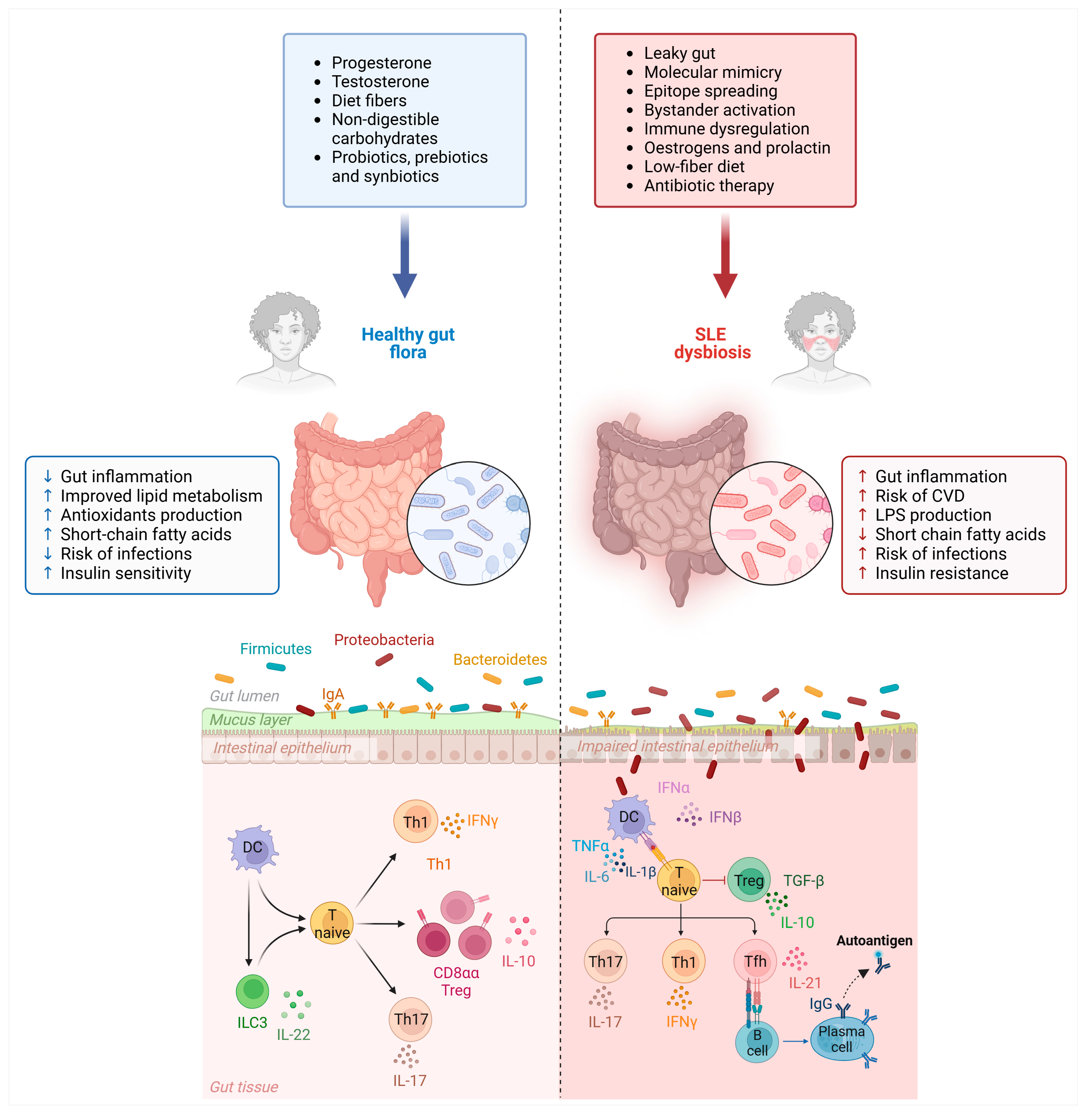 Microorganisms 13 00445 g001