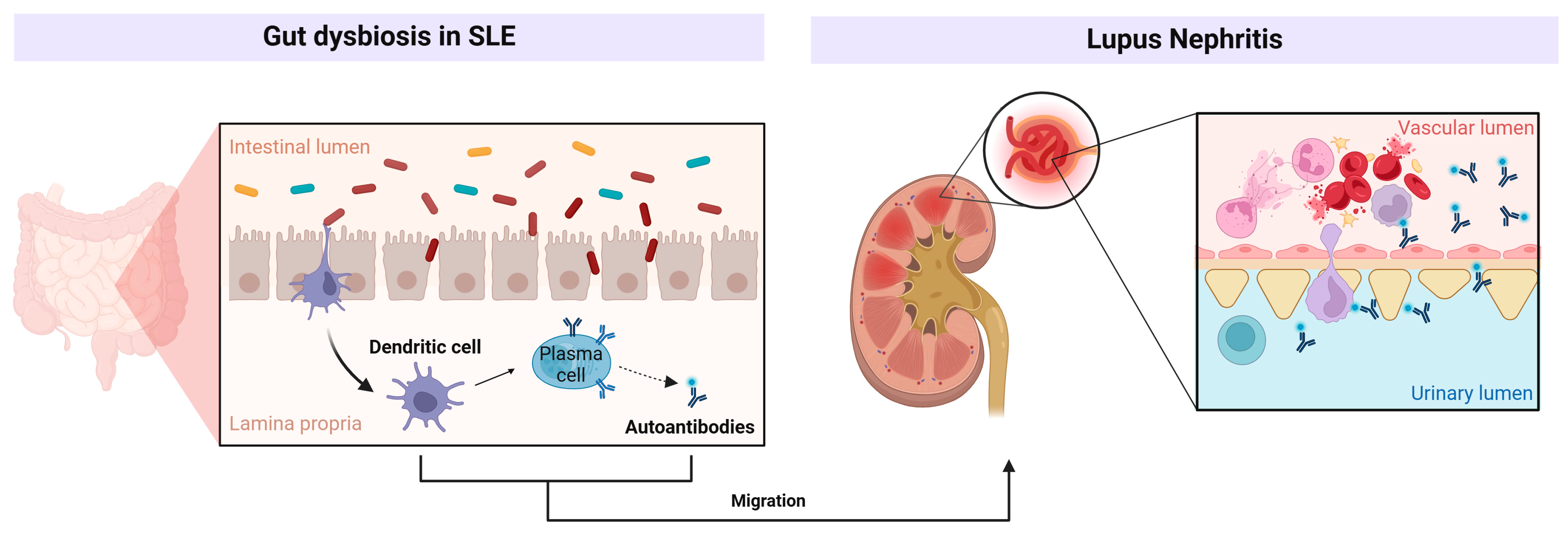 Microorganisms 13 00445 g002