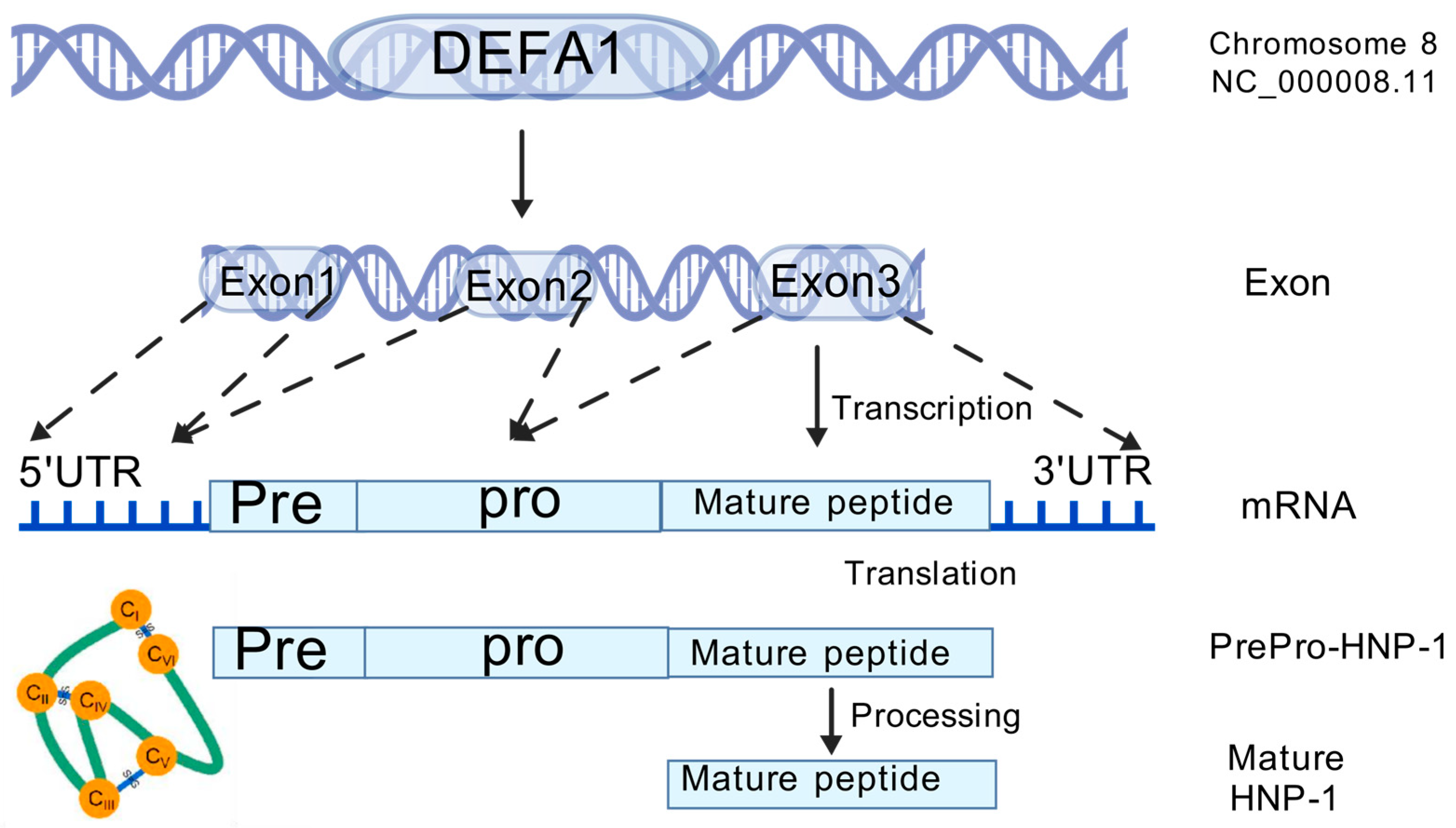 Microorganisms 13 00458 g002