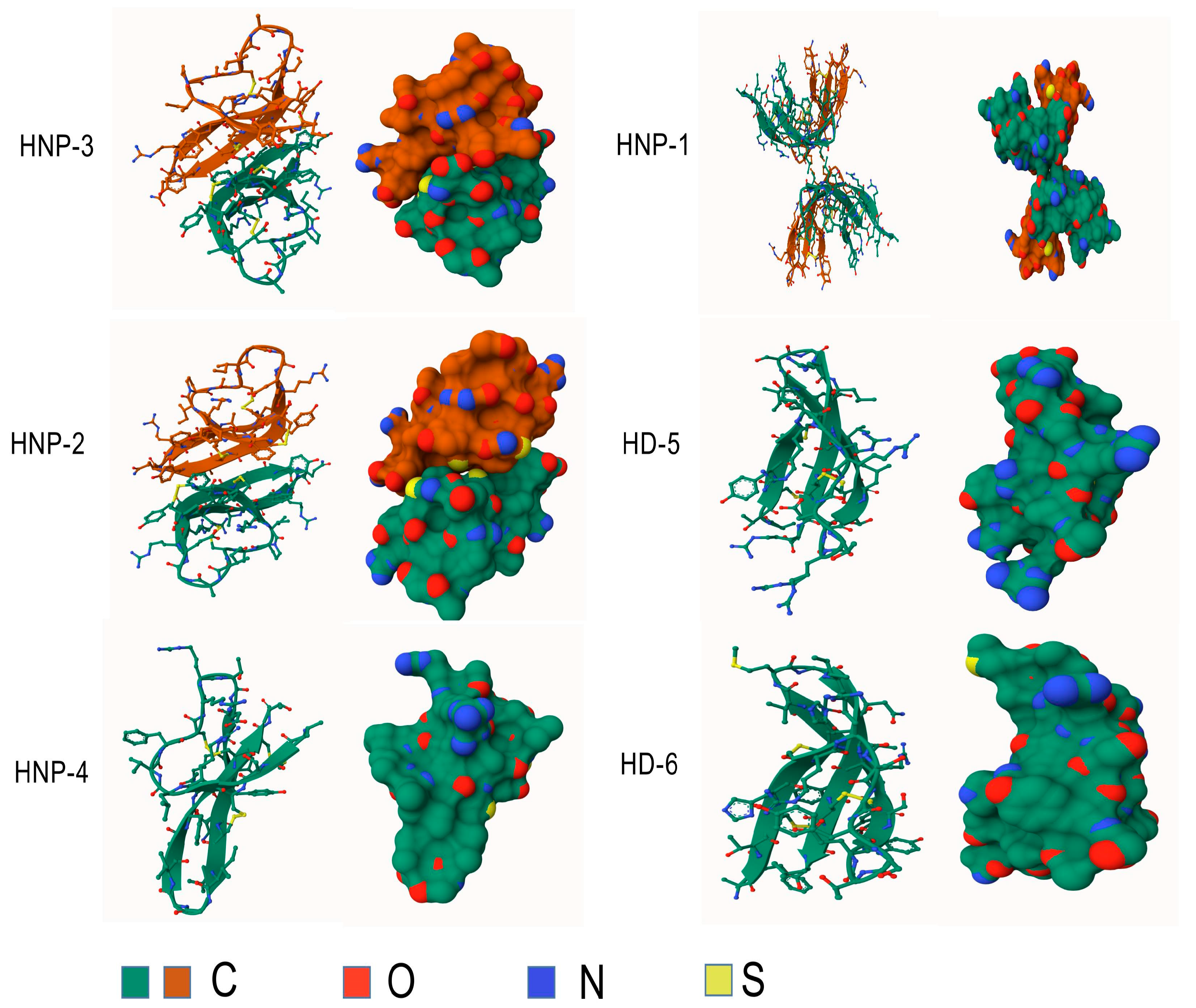 Microorganisms 13 00458 g003