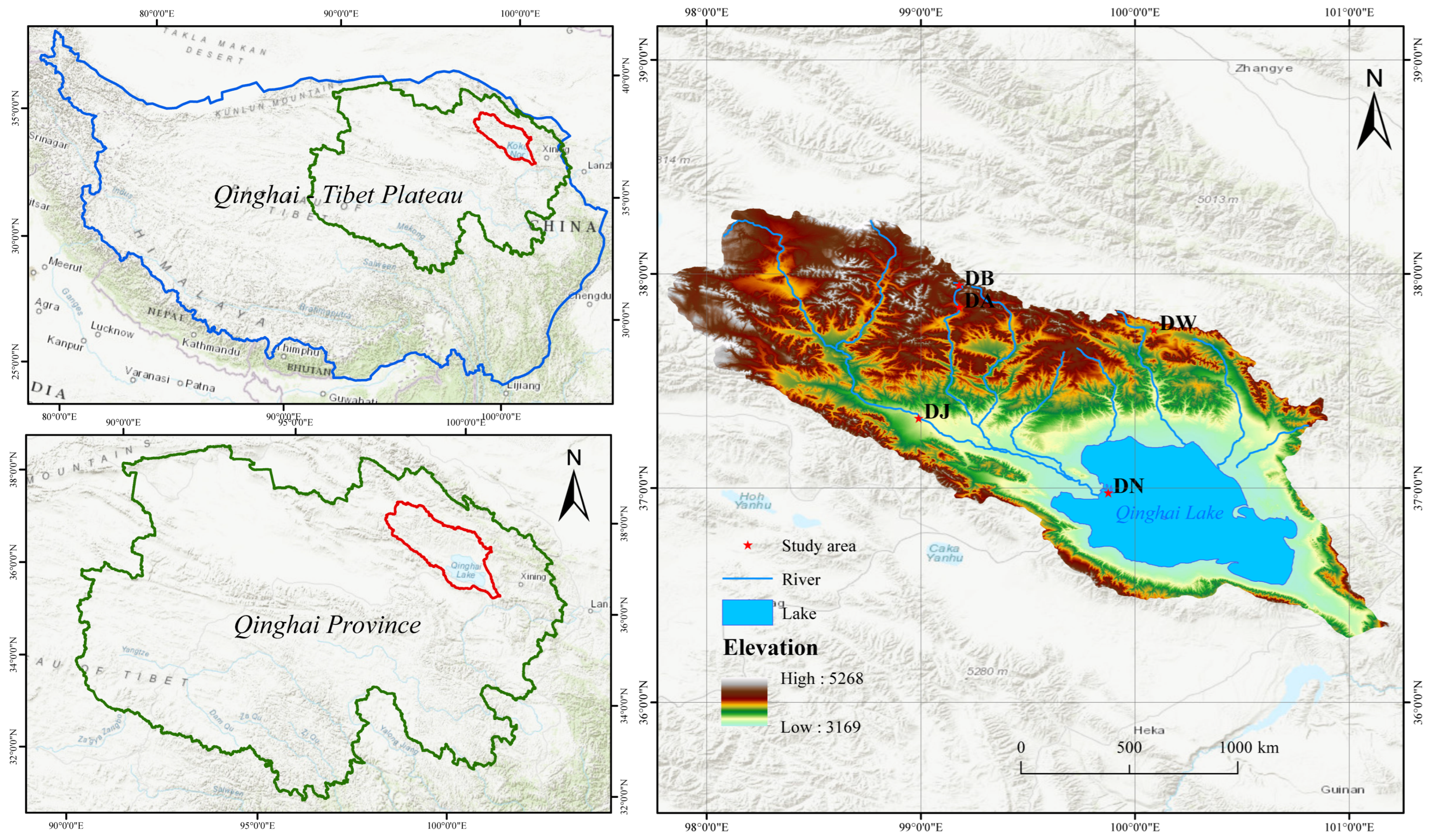 Microorganisms 13 00459 g001