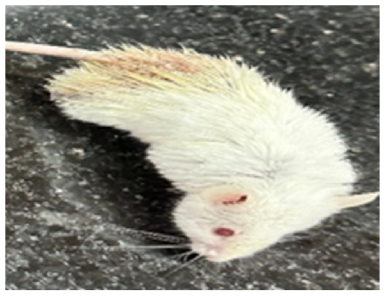 Microorganisms 13 00460 g003