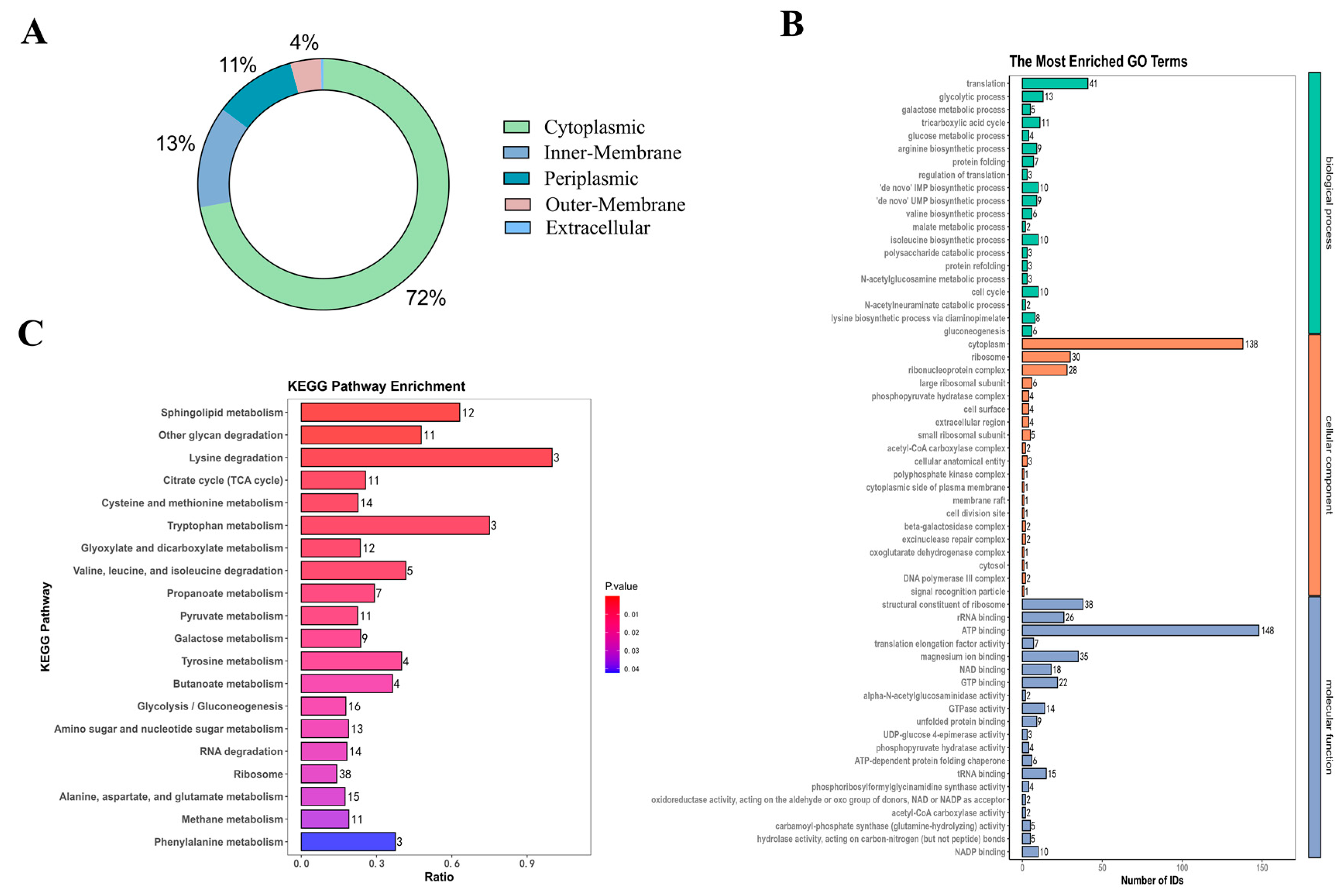 Microorganisms 13 00464 g002