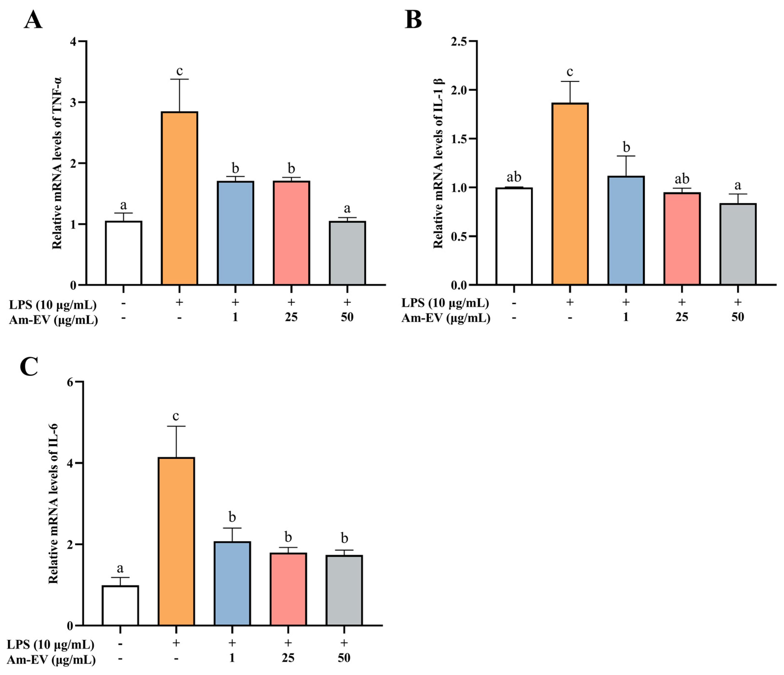 Microorganisms 13 00464 g004