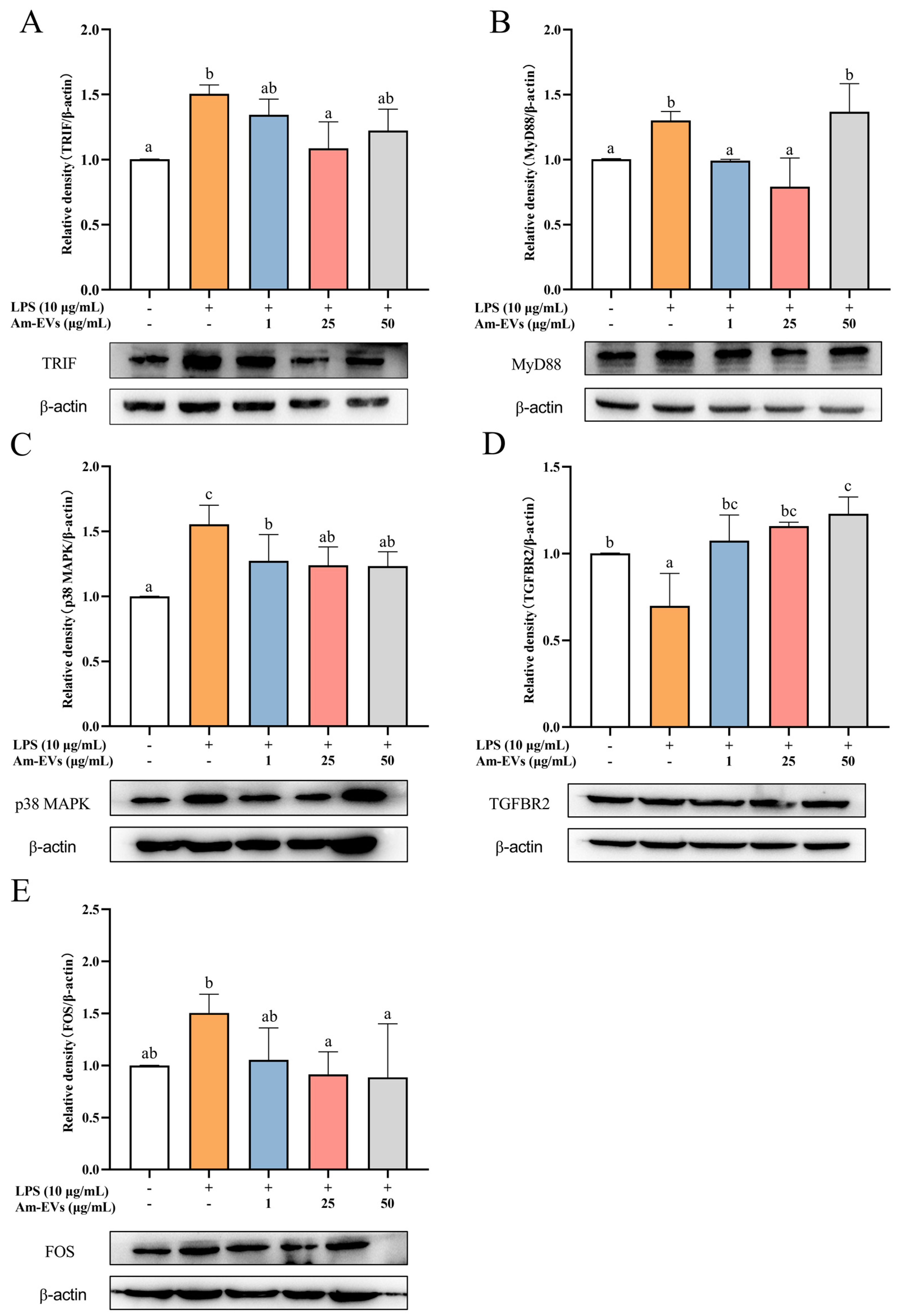 Microorganisms 13 00464 g006
